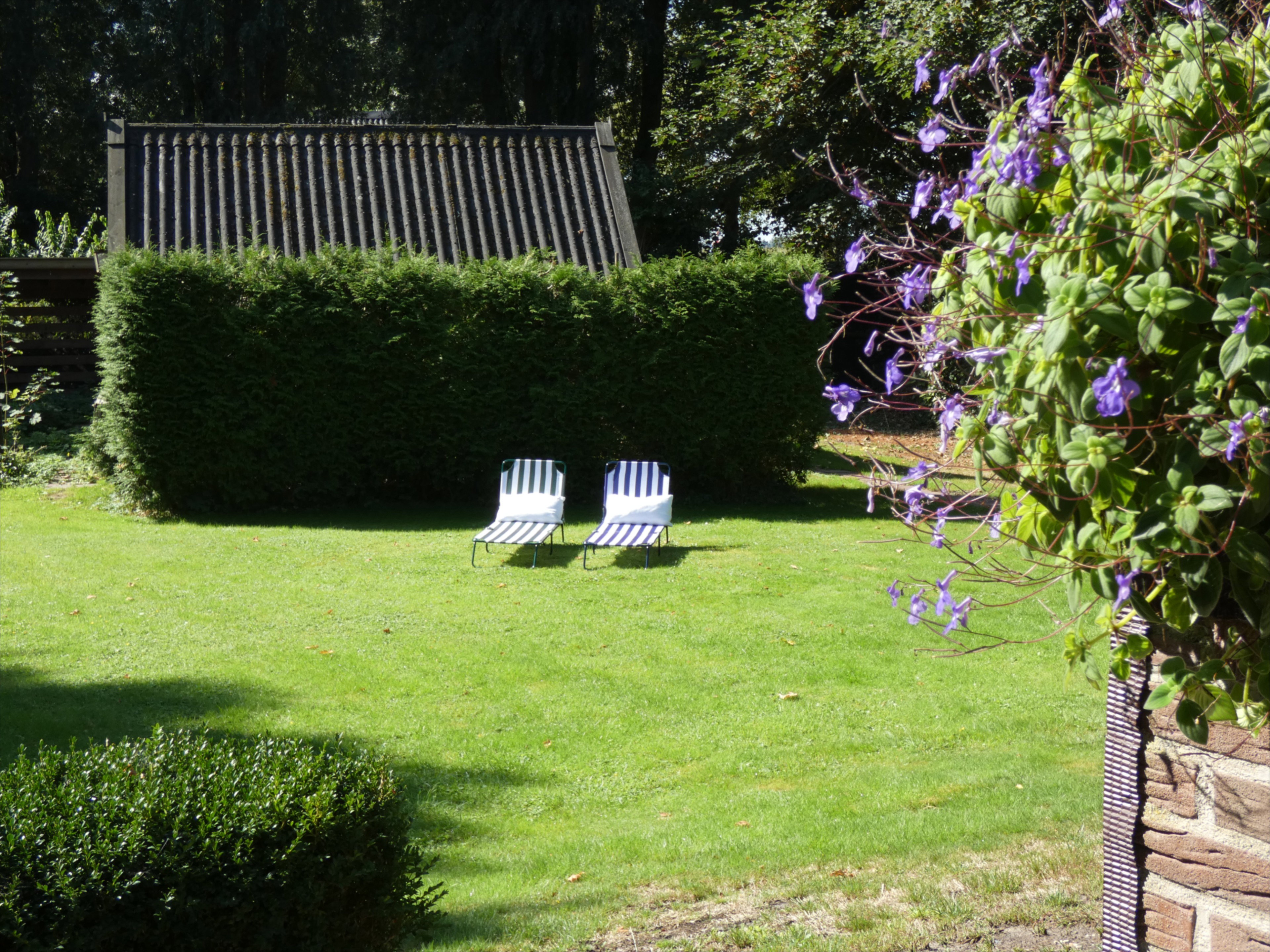 Maison nature à Delfstrahuizen