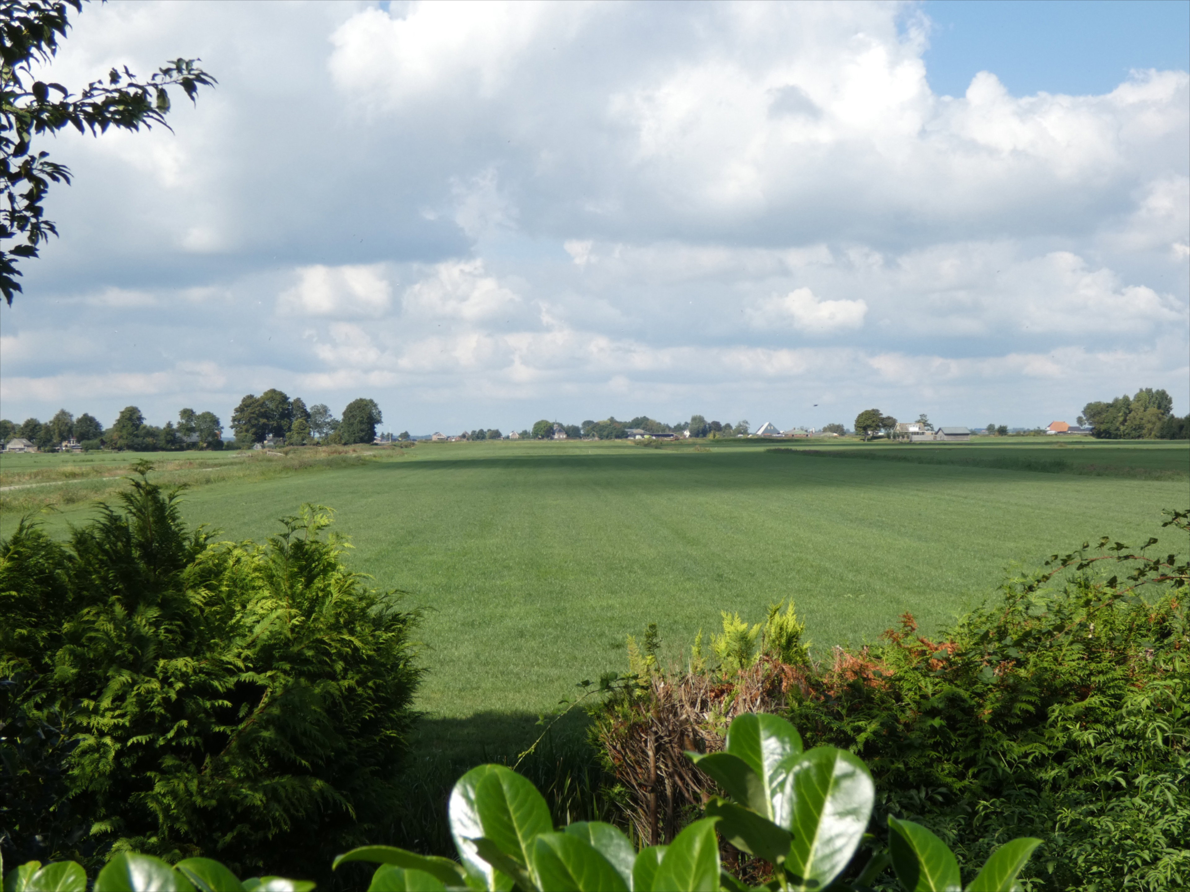 Maison nature à Delfstrahuizen