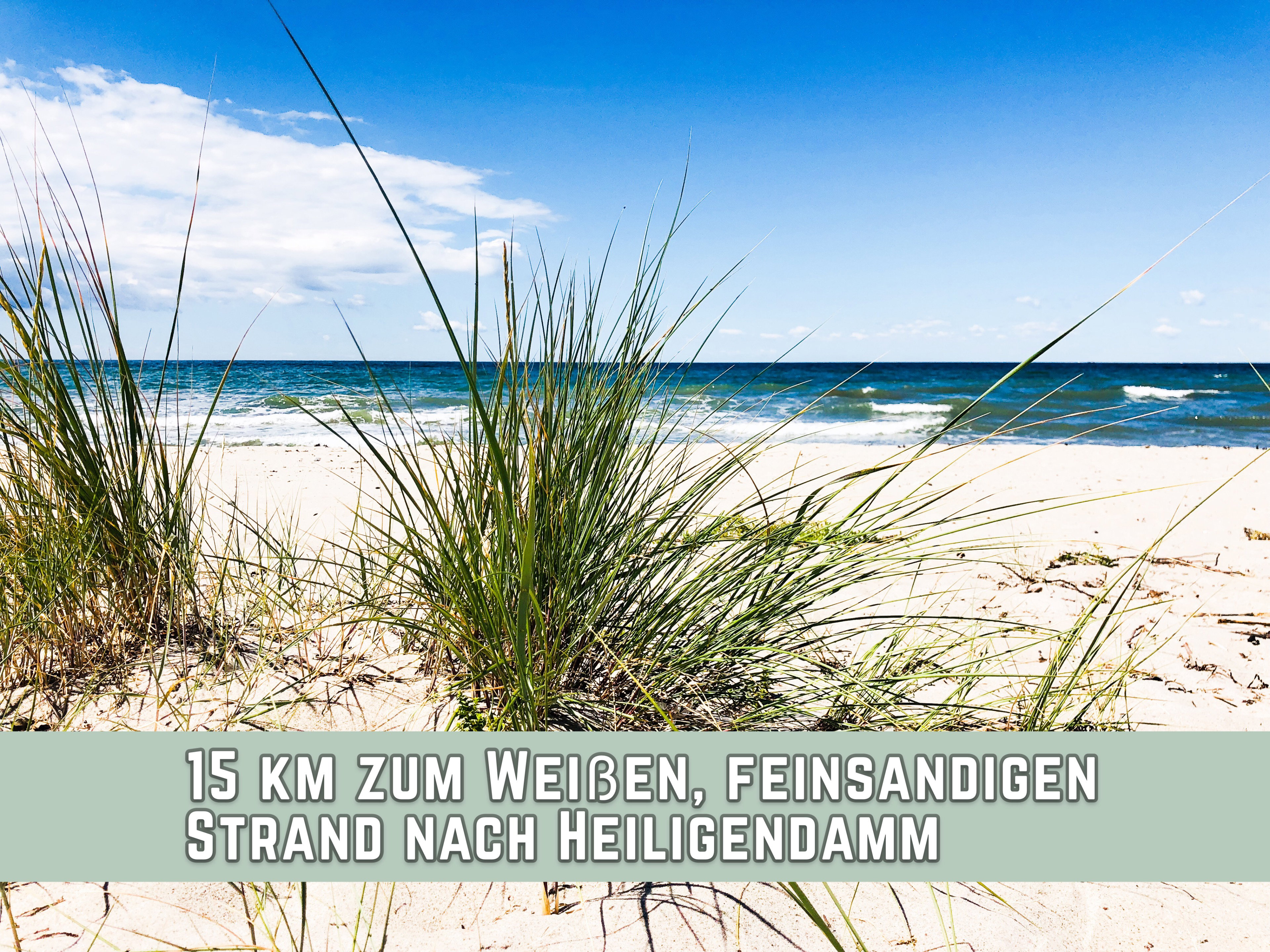 - image: 41