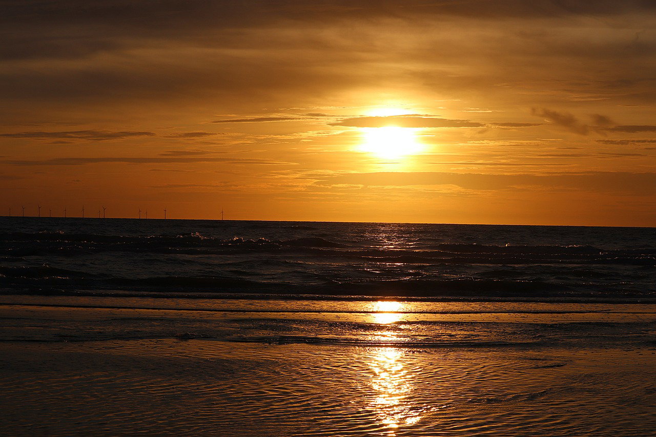 - image: 49