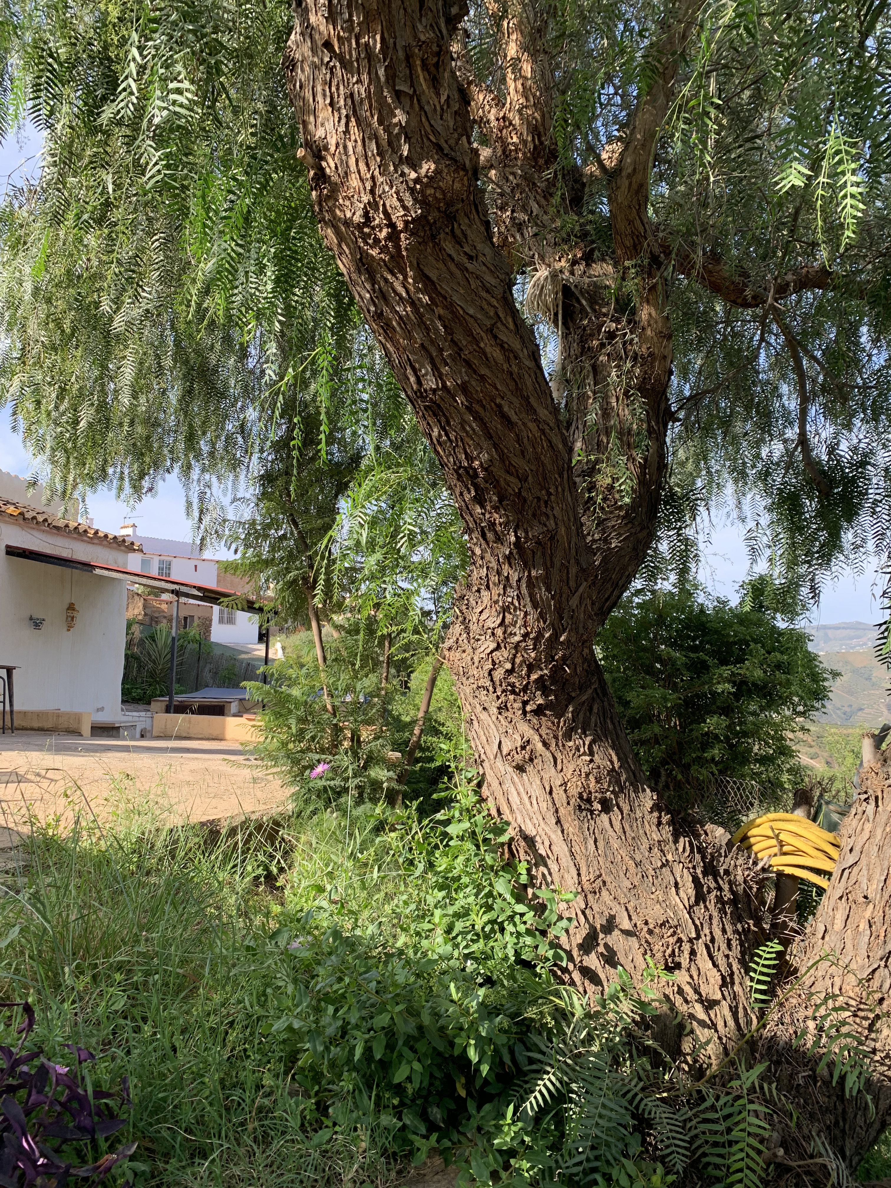Maison nature à Las Chozas- Velez Malaga