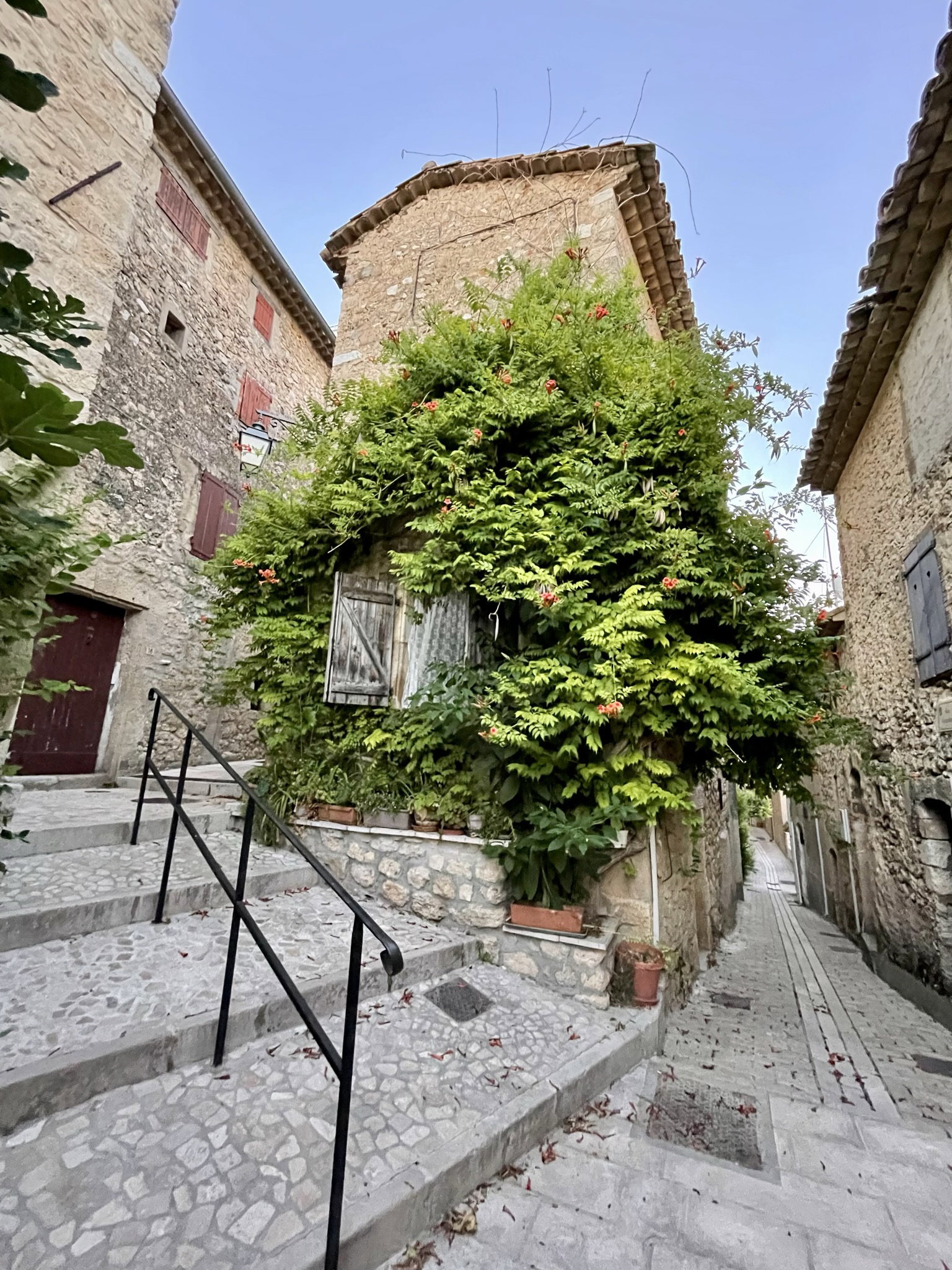 - image: 52
