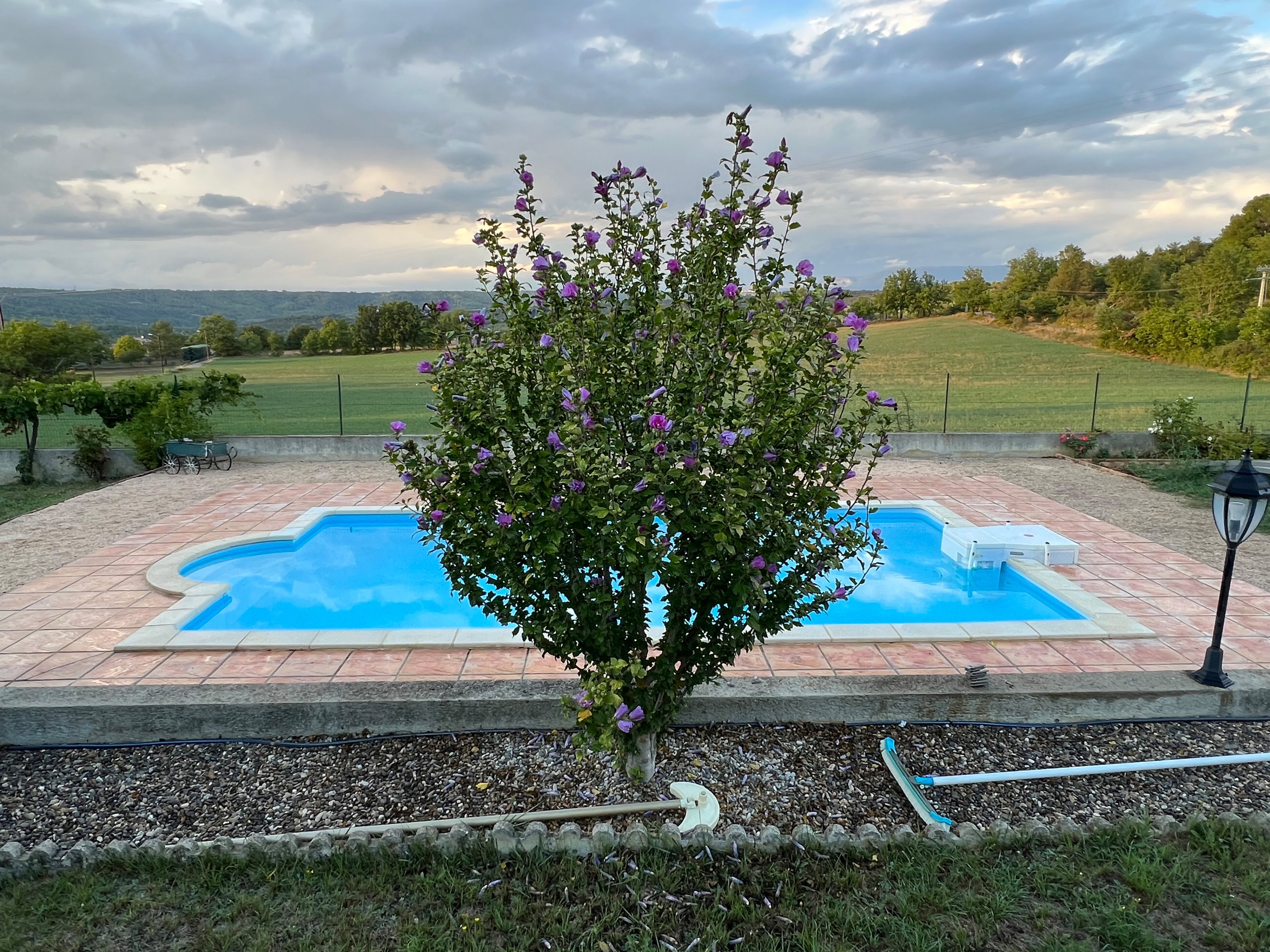 - image: 31