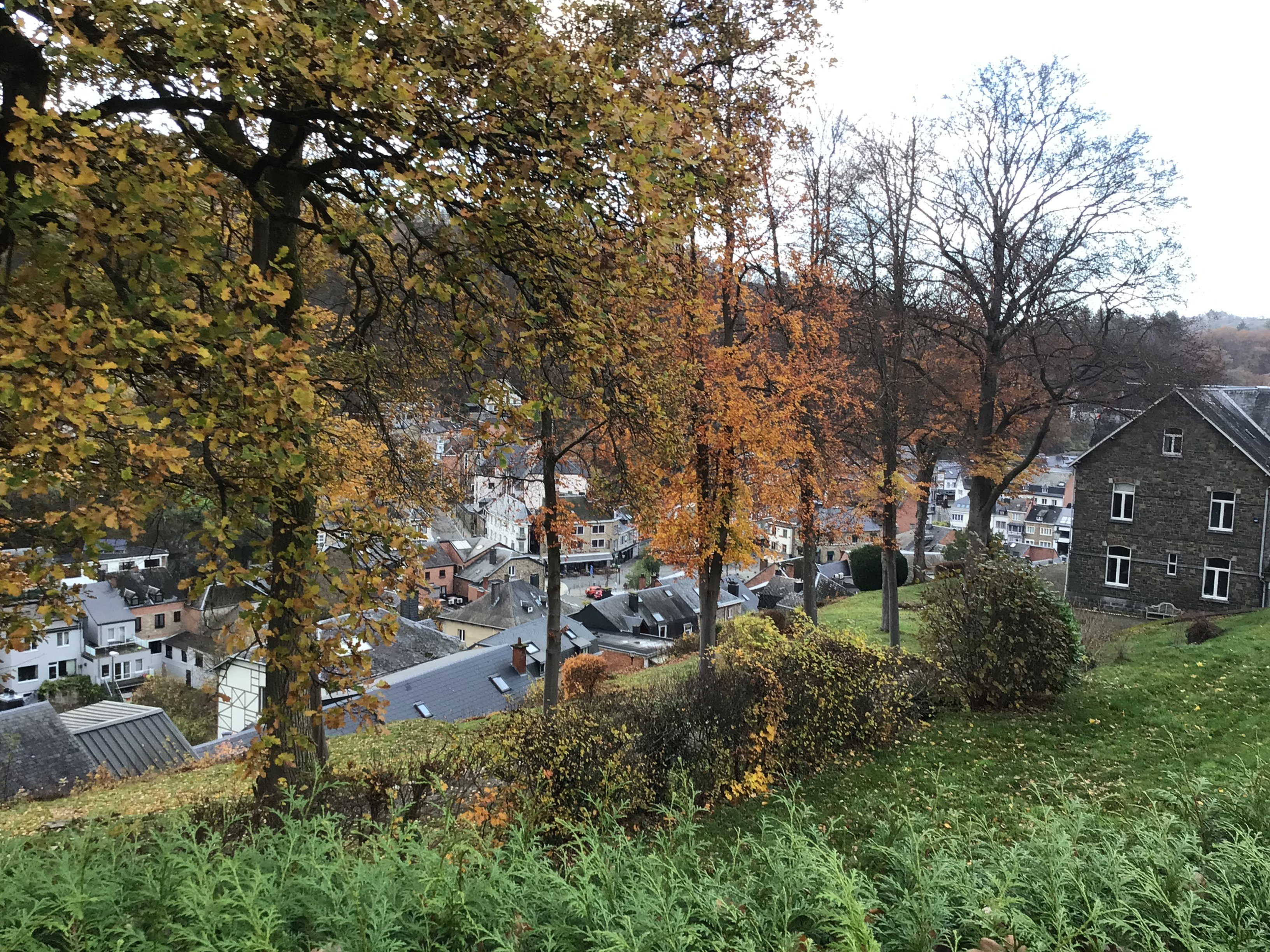 Natuurhuisje in La Roche en Ardenne