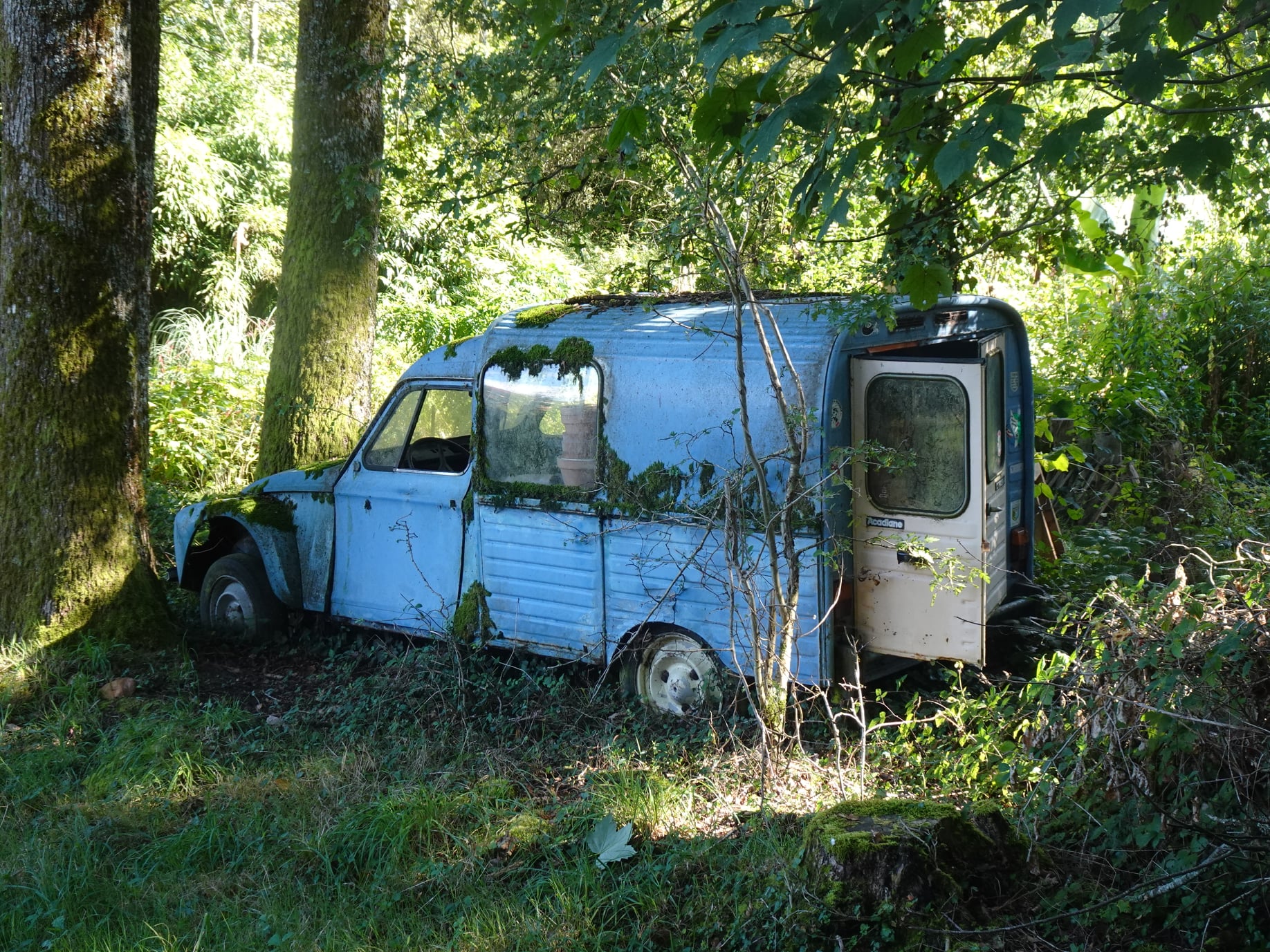 Maison nature à St Hilaire les places