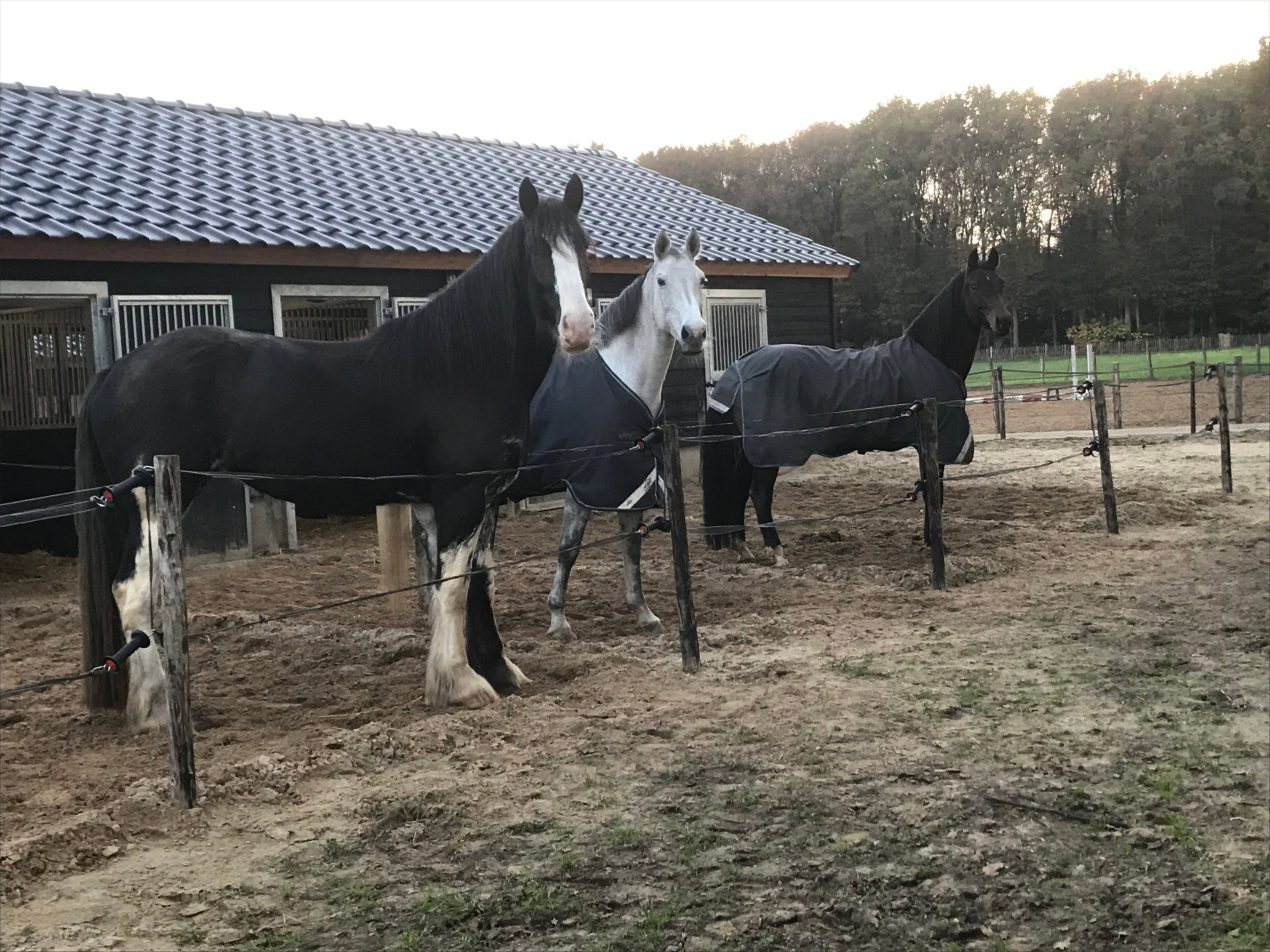 Natuurhuisje in Garderen