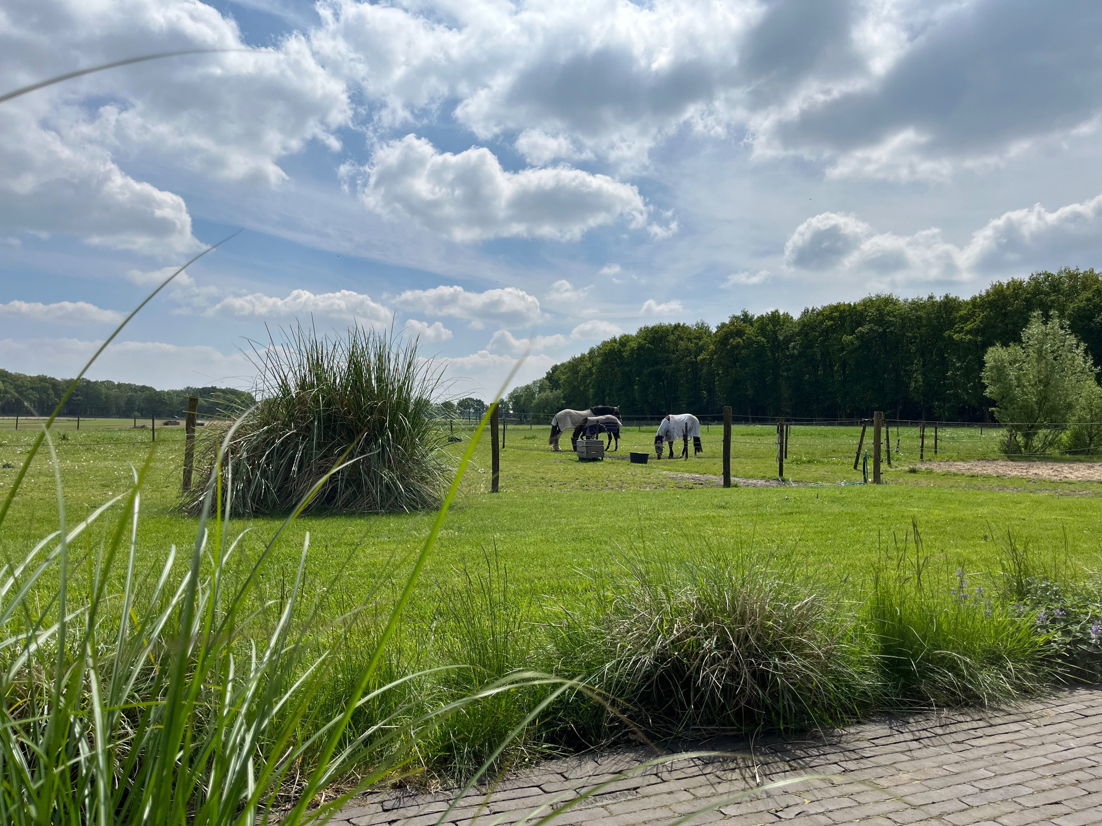 Naturhäuschen in Garderen