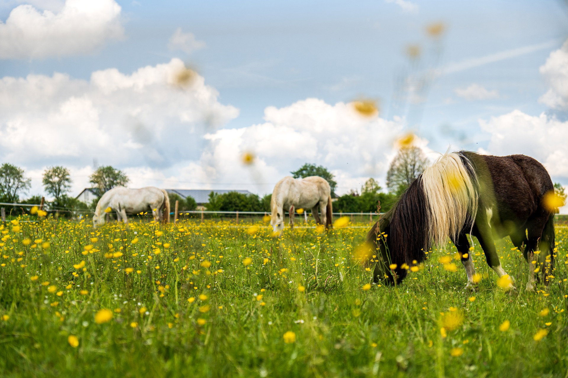 Naturhäuschen in Orsfeld