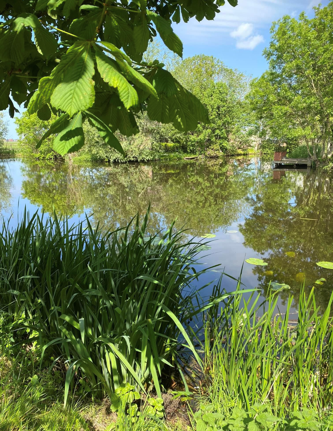 Natuurhuisje in Oud Ade