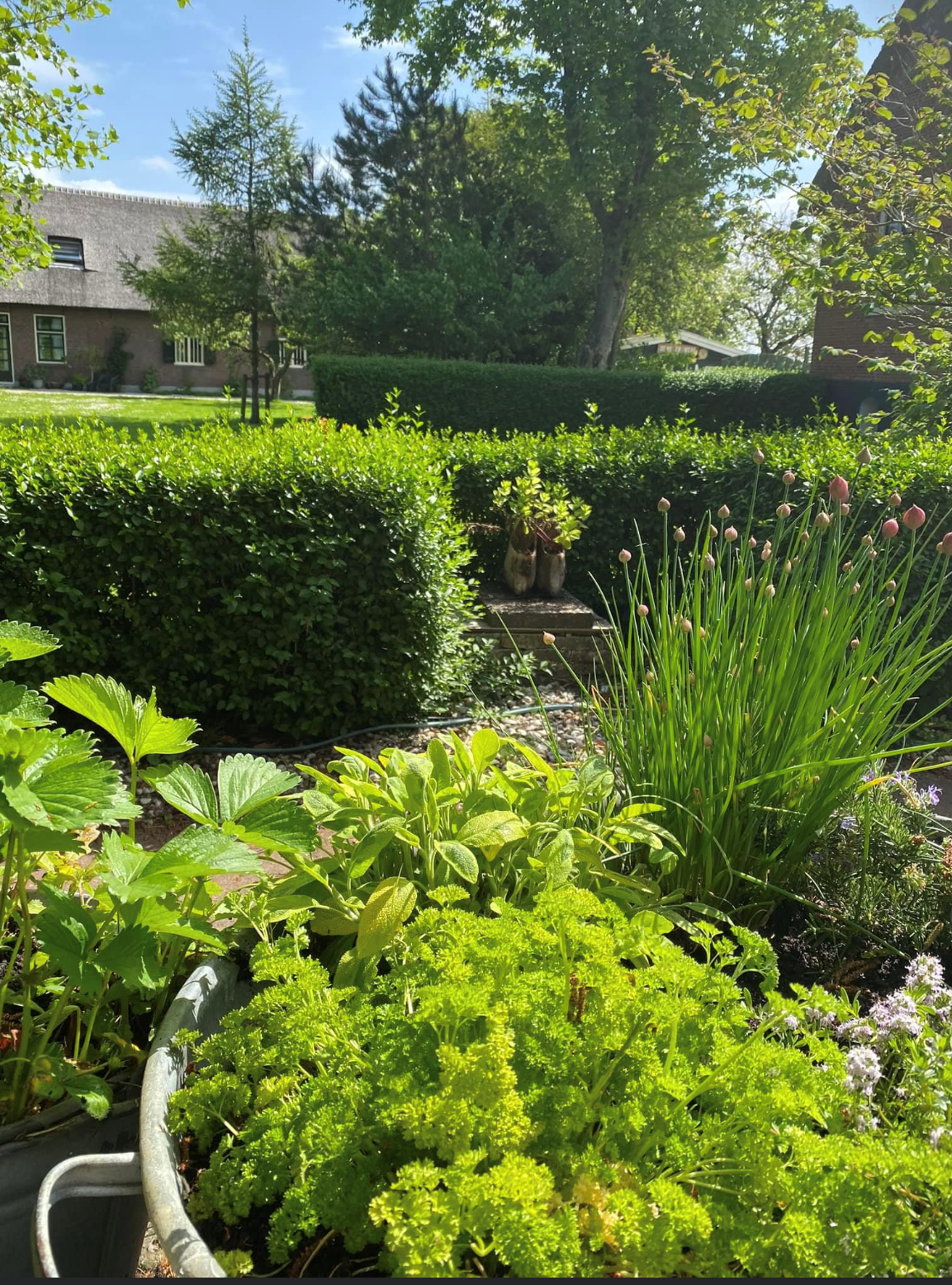 Natuurhuisje in Oud Ade