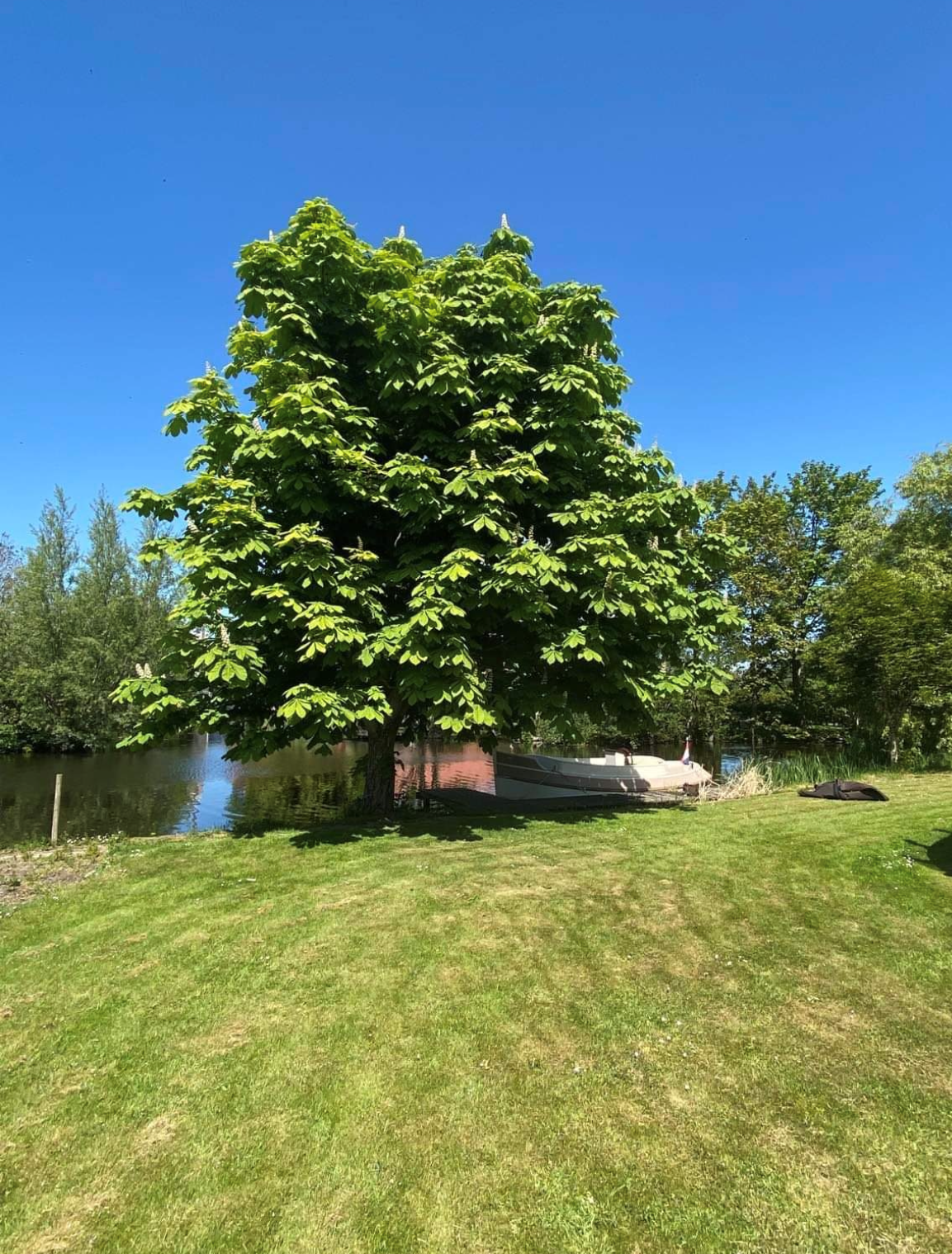 Natuurhuisje in Oud Ade