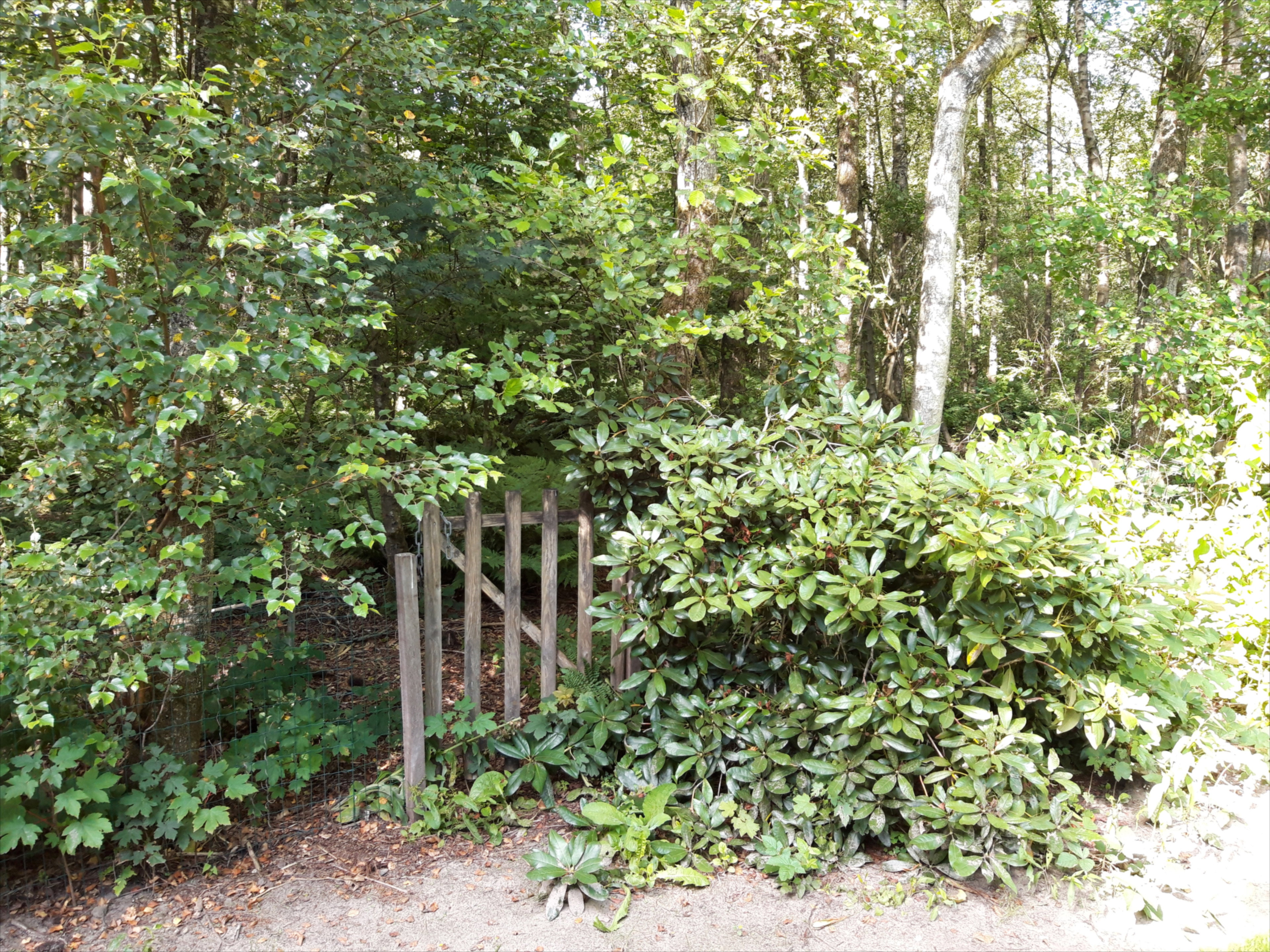 Natuurhuisje in Oude Willem