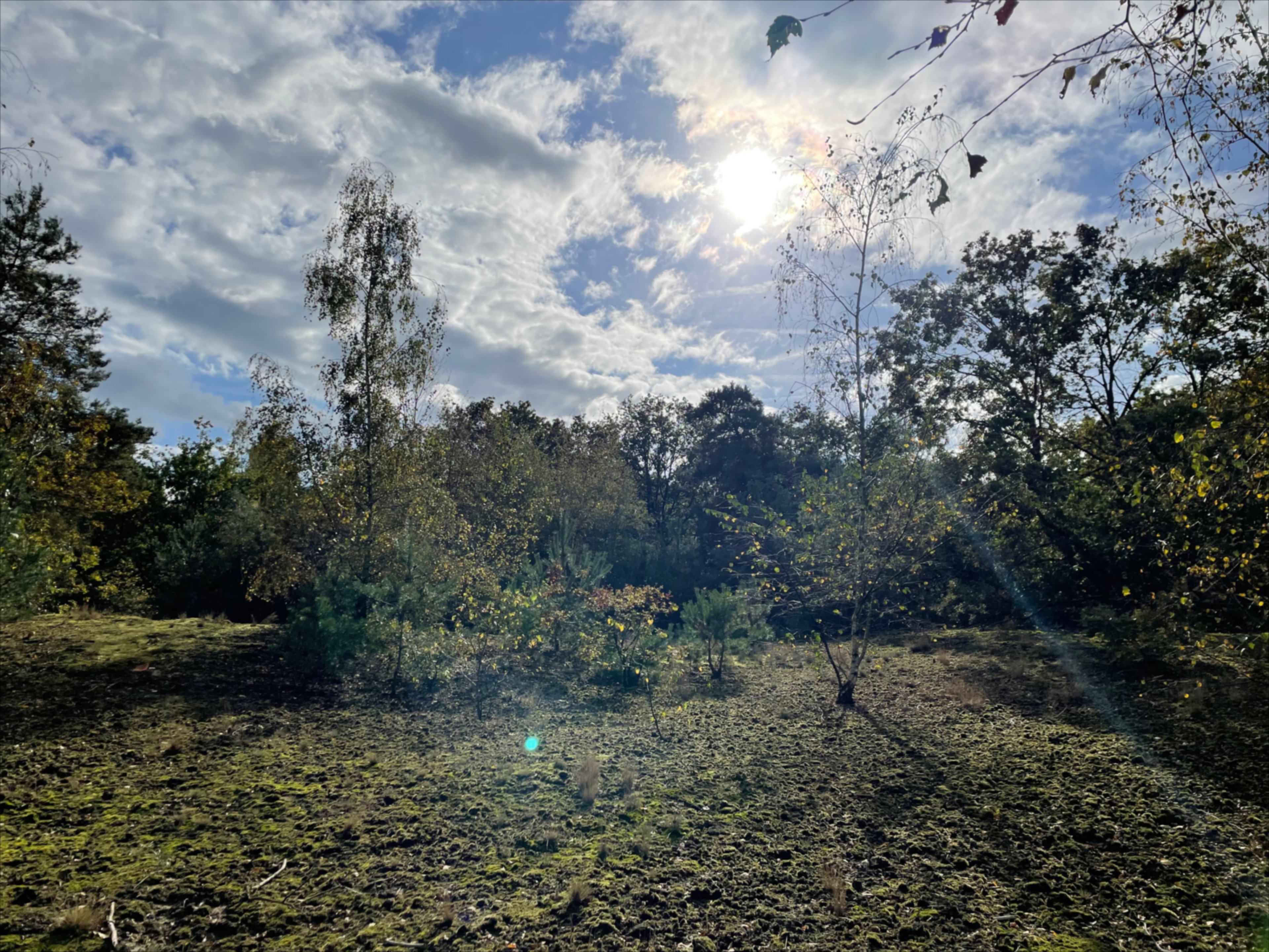 Naturhäuschen in Well