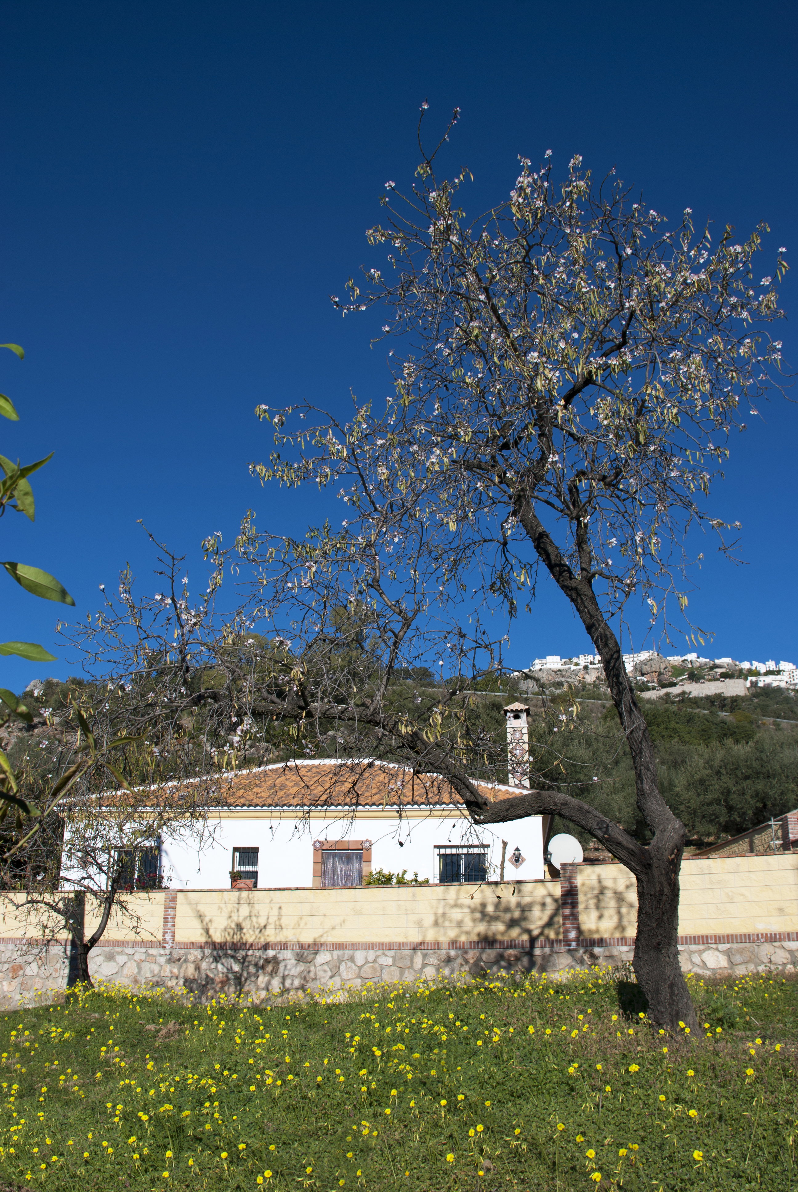 Casa nella natura a Comares
