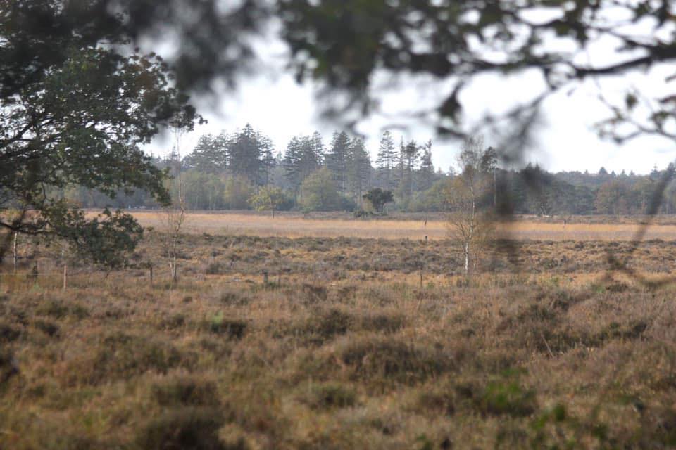 Natuurhuisje in Beilen