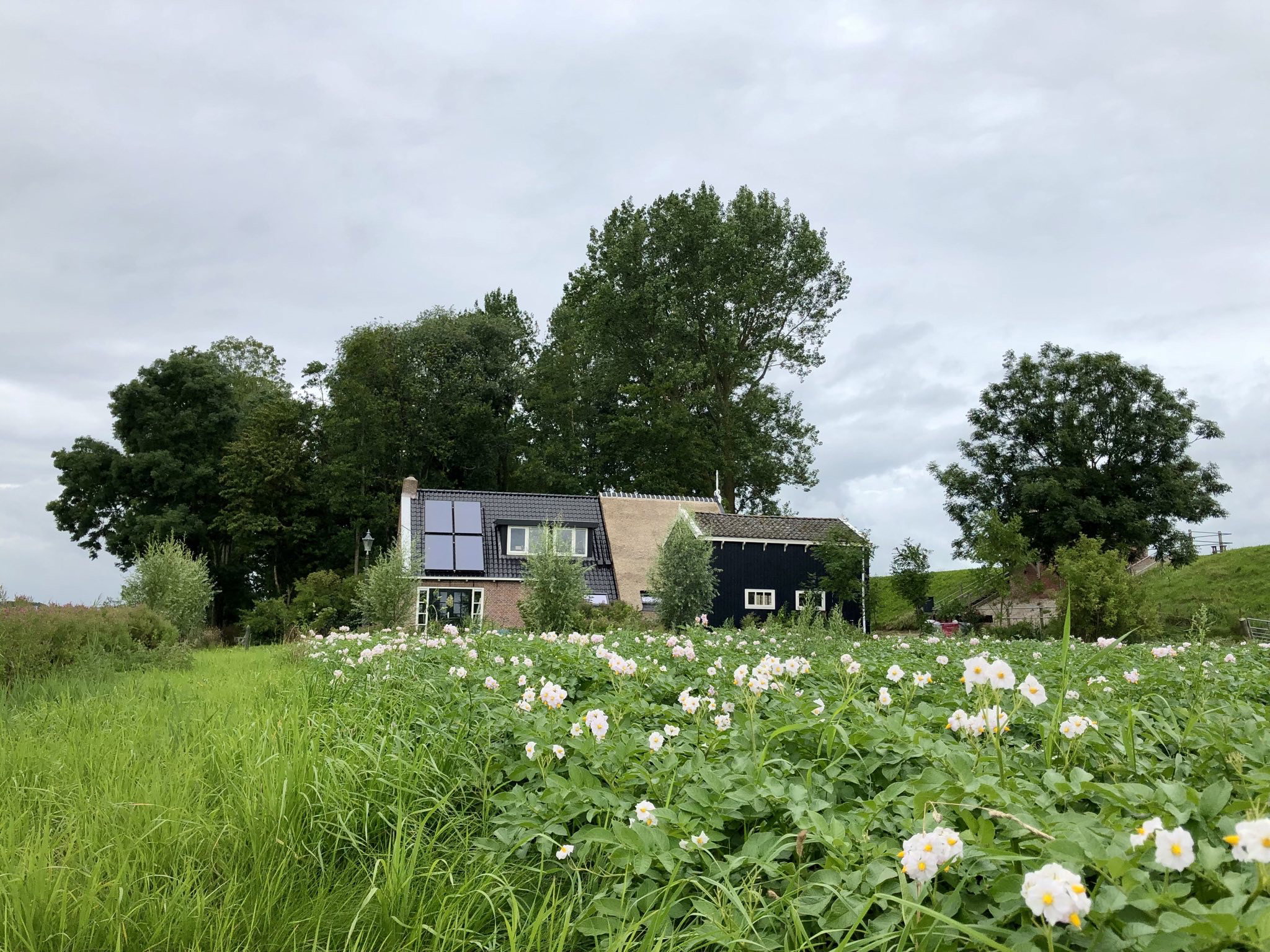 Casa nella natura a Kollumerpomp