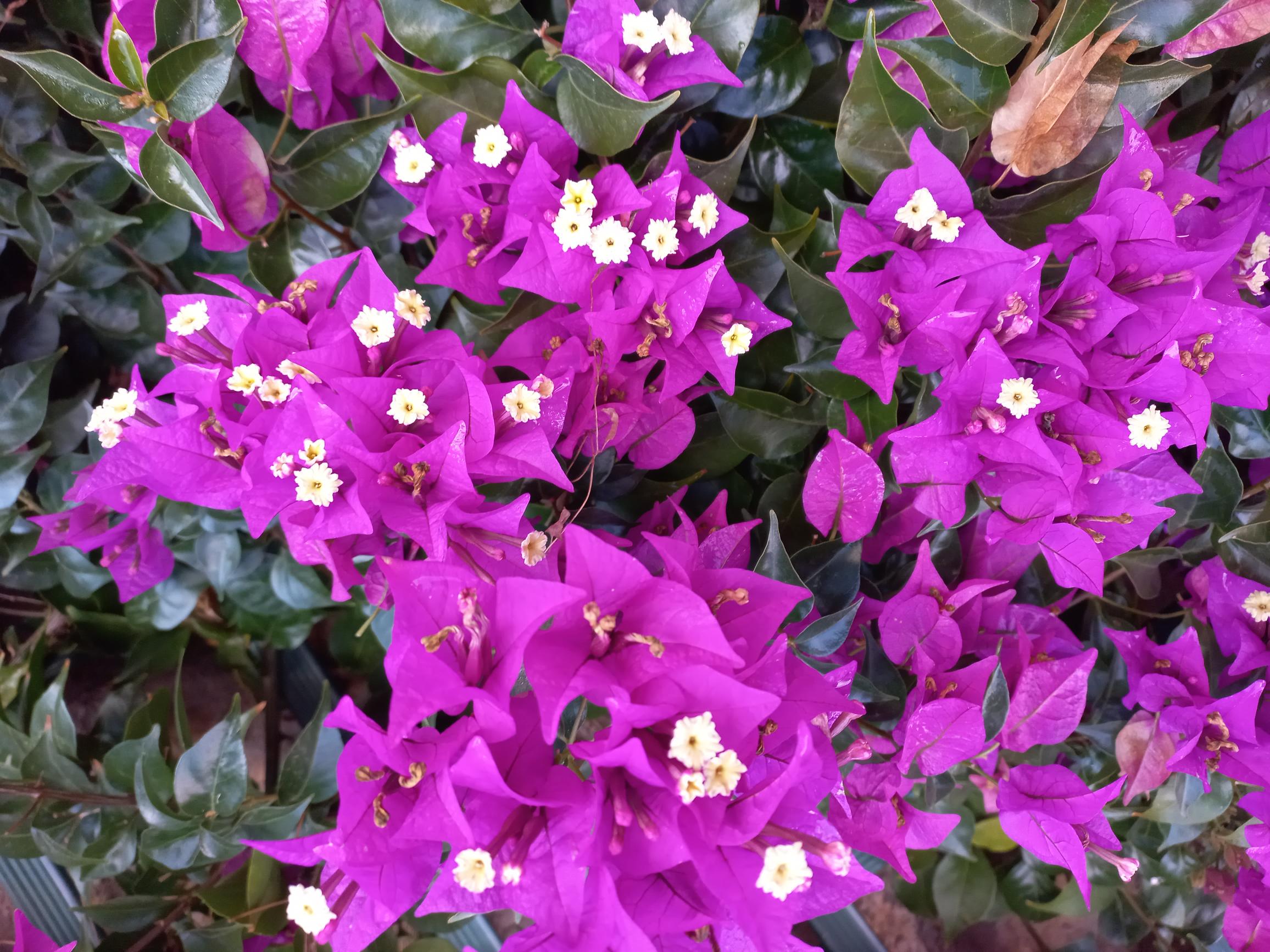 - image: 26