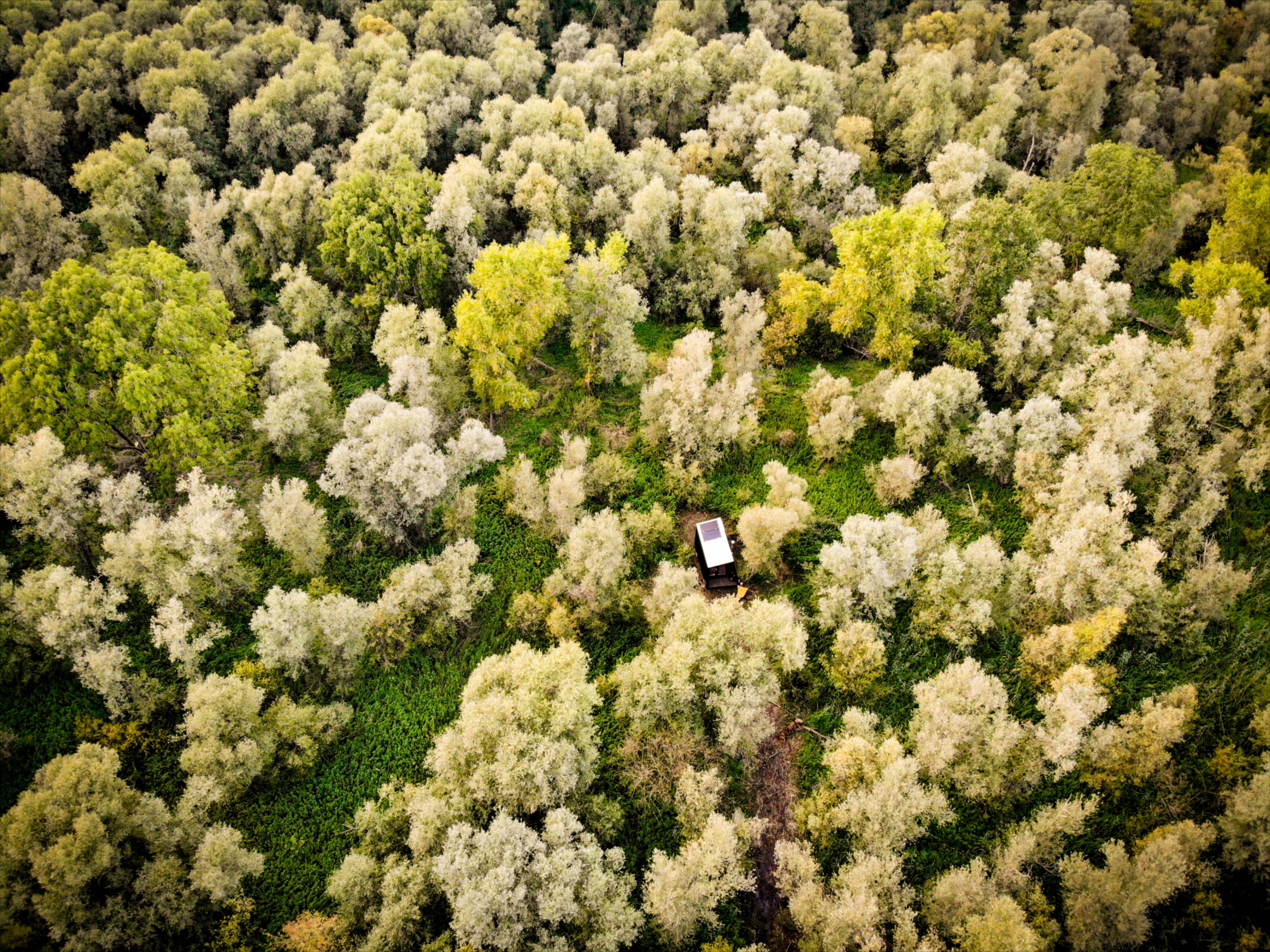 Naturhäuschen in Werkendam