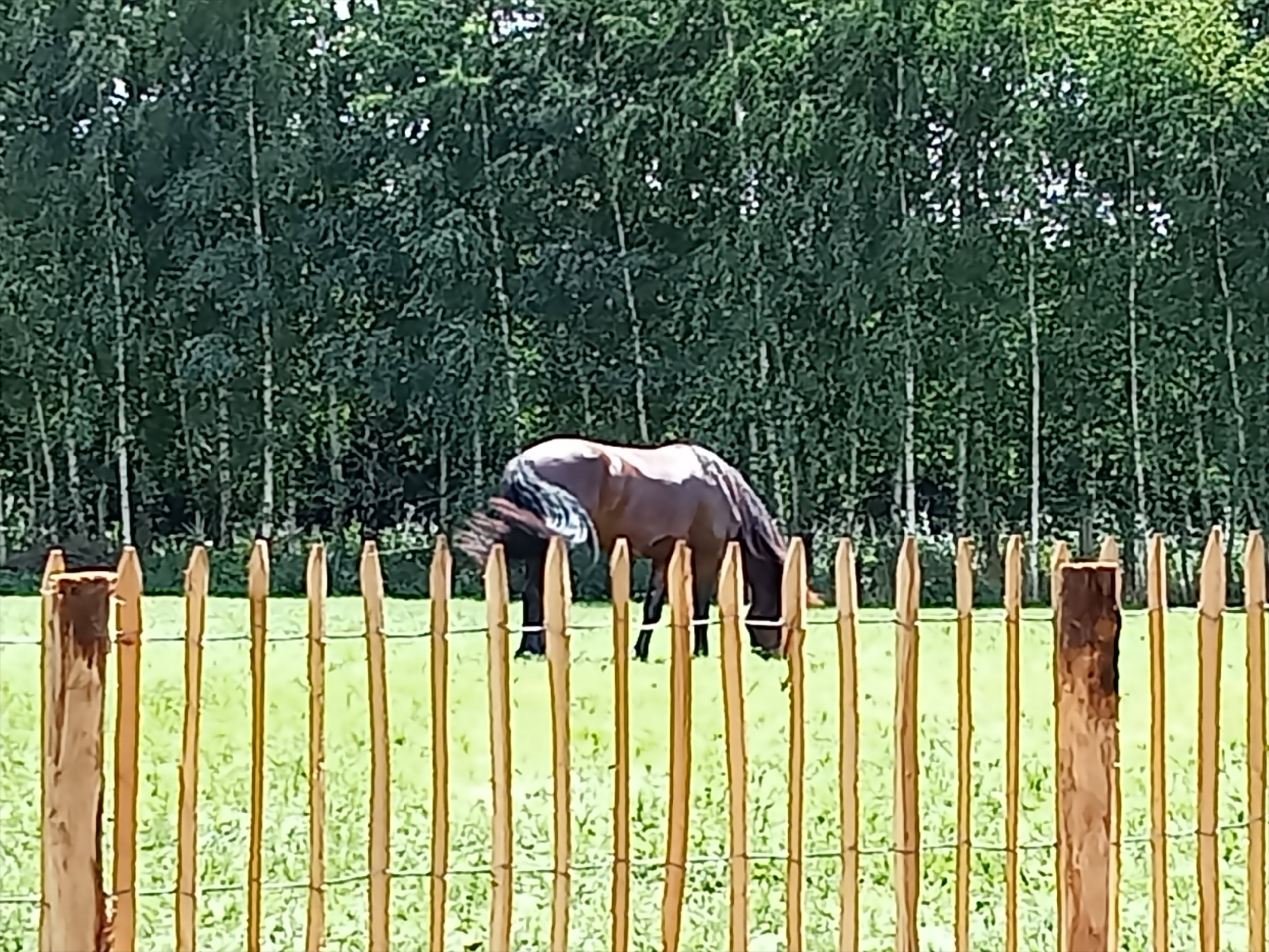 Maison nature à Gameren