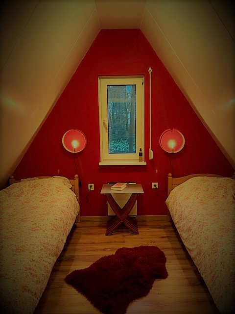 - image: 12