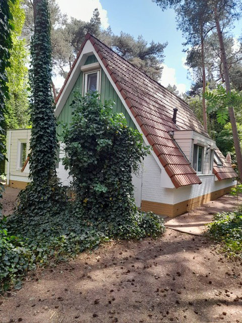 Natuurhuisje in Ommen
