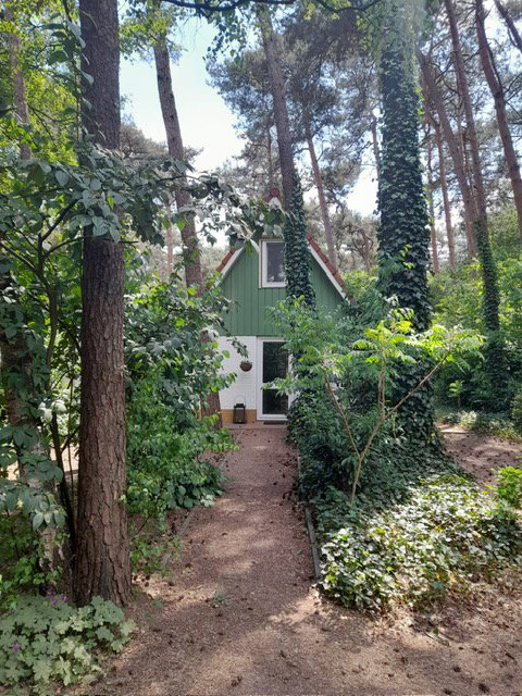 Natuurhuisje in Ommen