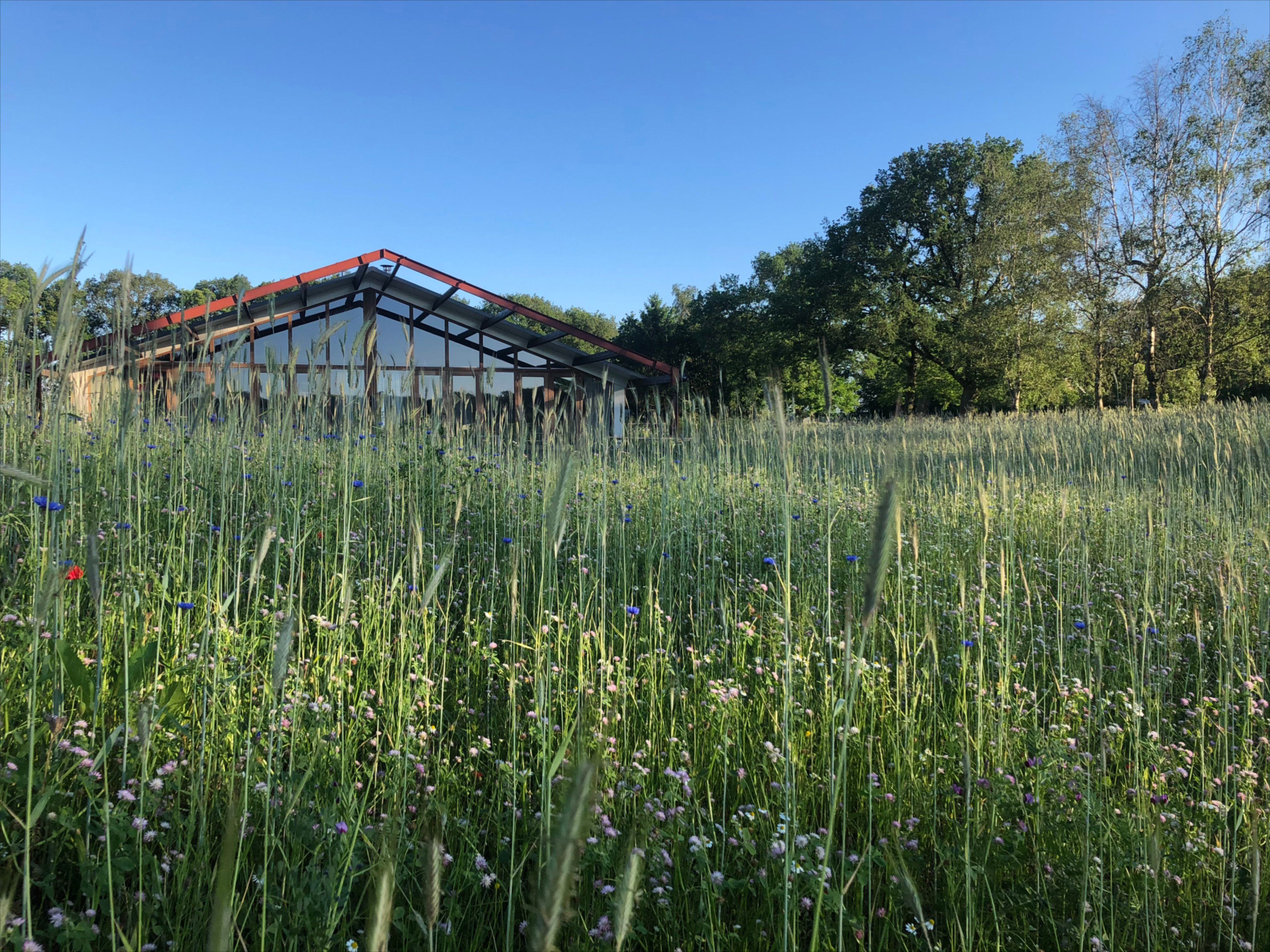 Naturhäuschen in Gilze