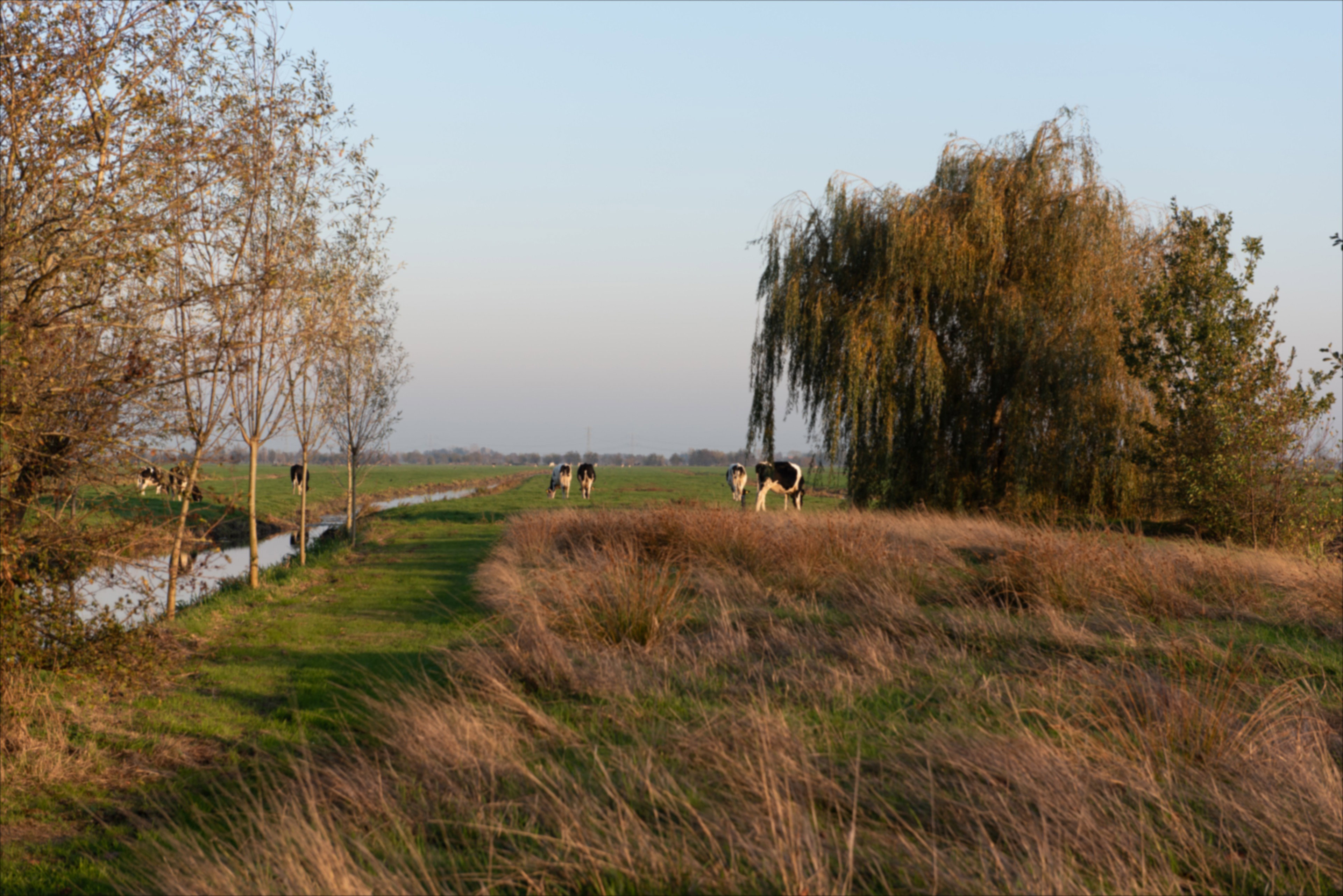 - image: 26