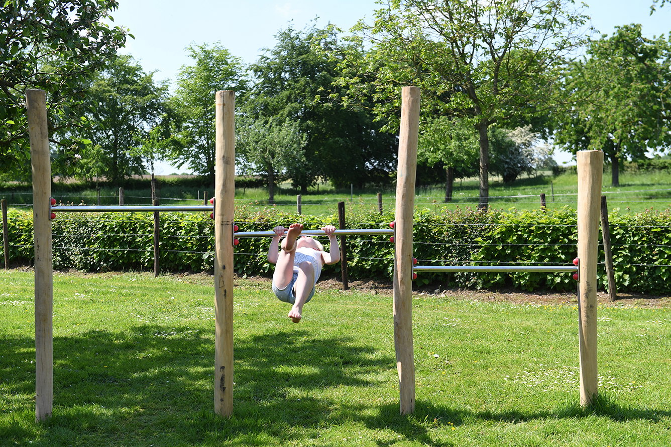 - image: 11