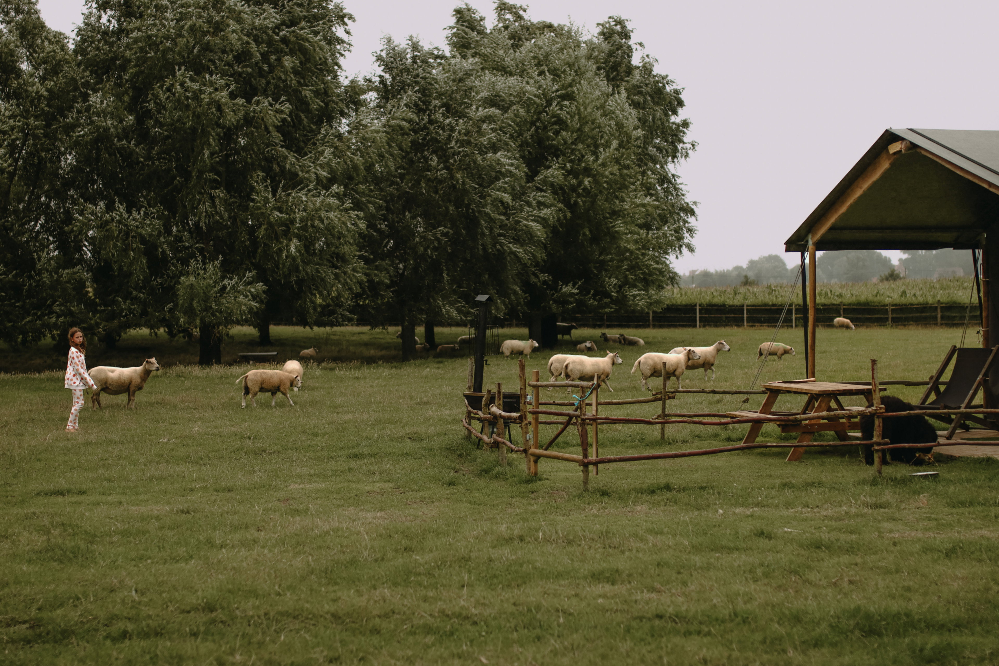 Natuurhuisje in Torhout