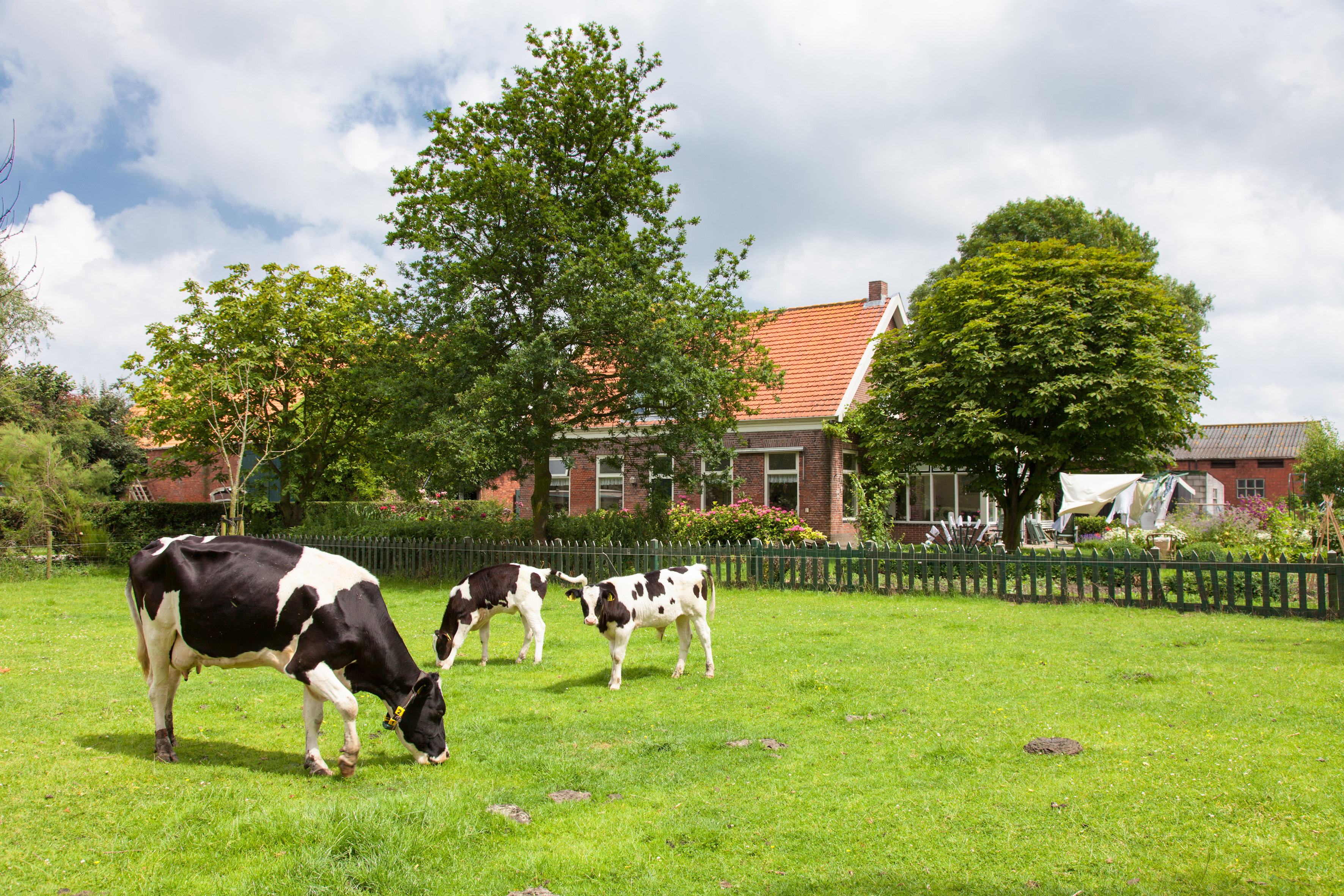 Natuurhuisje in Gapinge