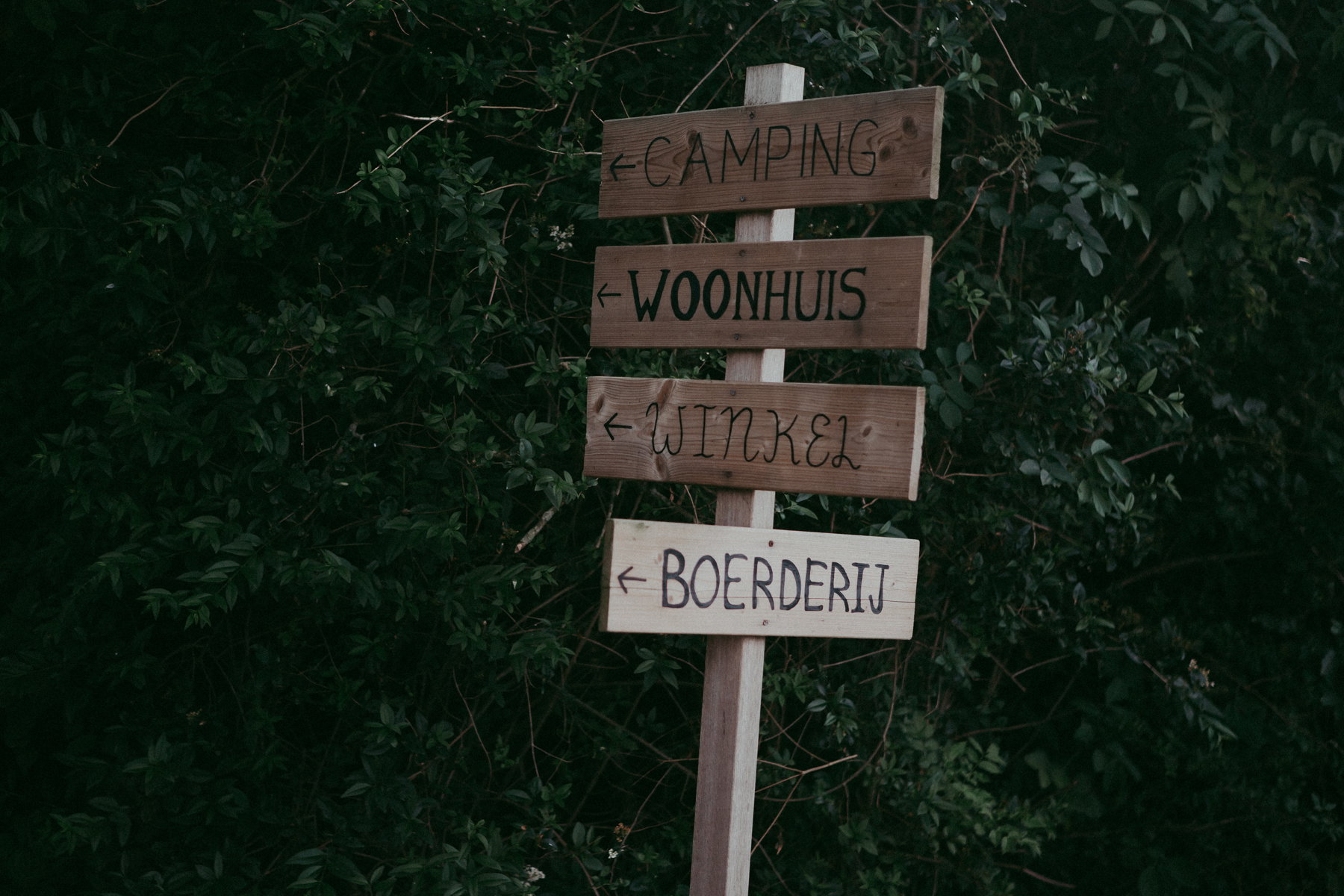 - image: 13