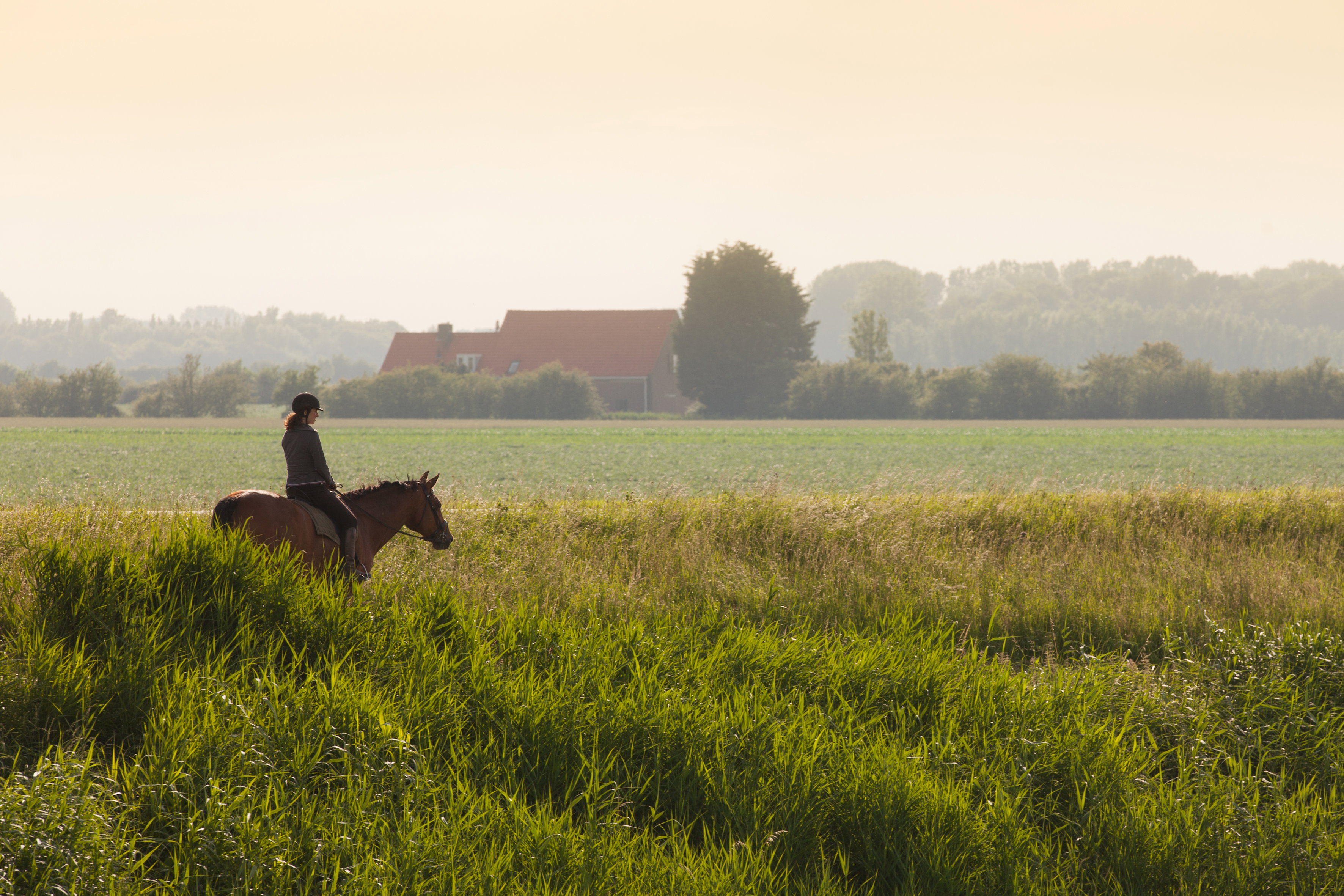 Natuurhuisje in Gapinge