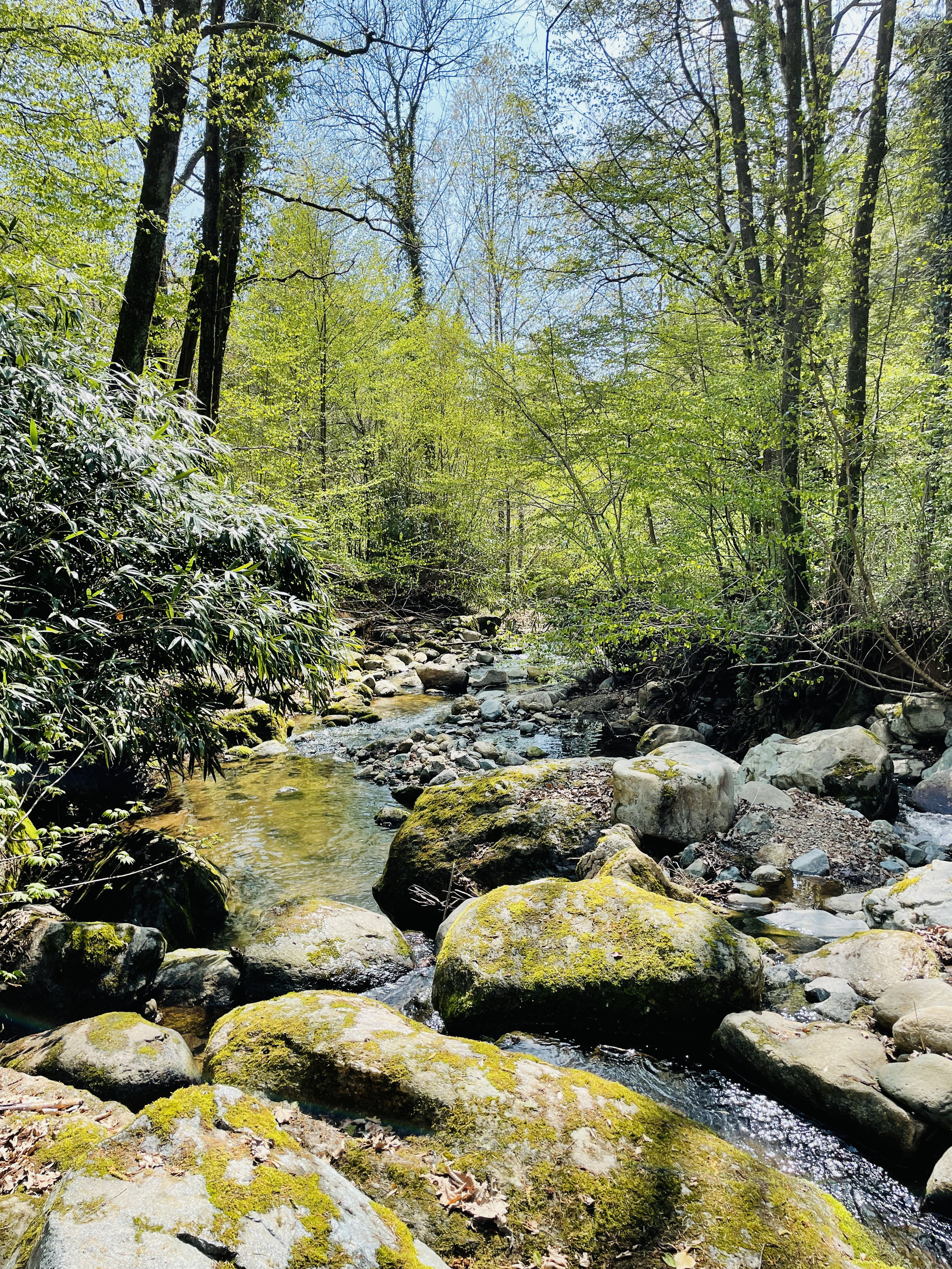 Nature house in Trivero-Renecco