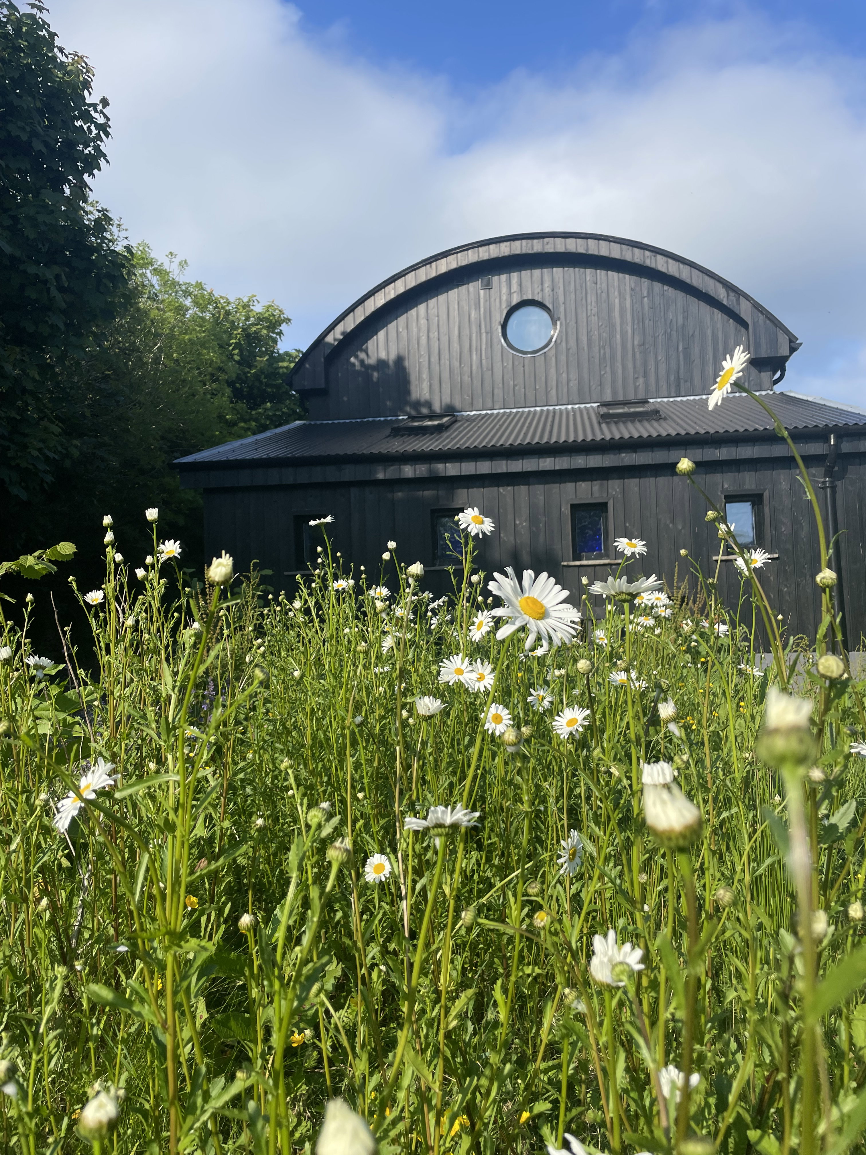 Natuurhuisje in The HayShed