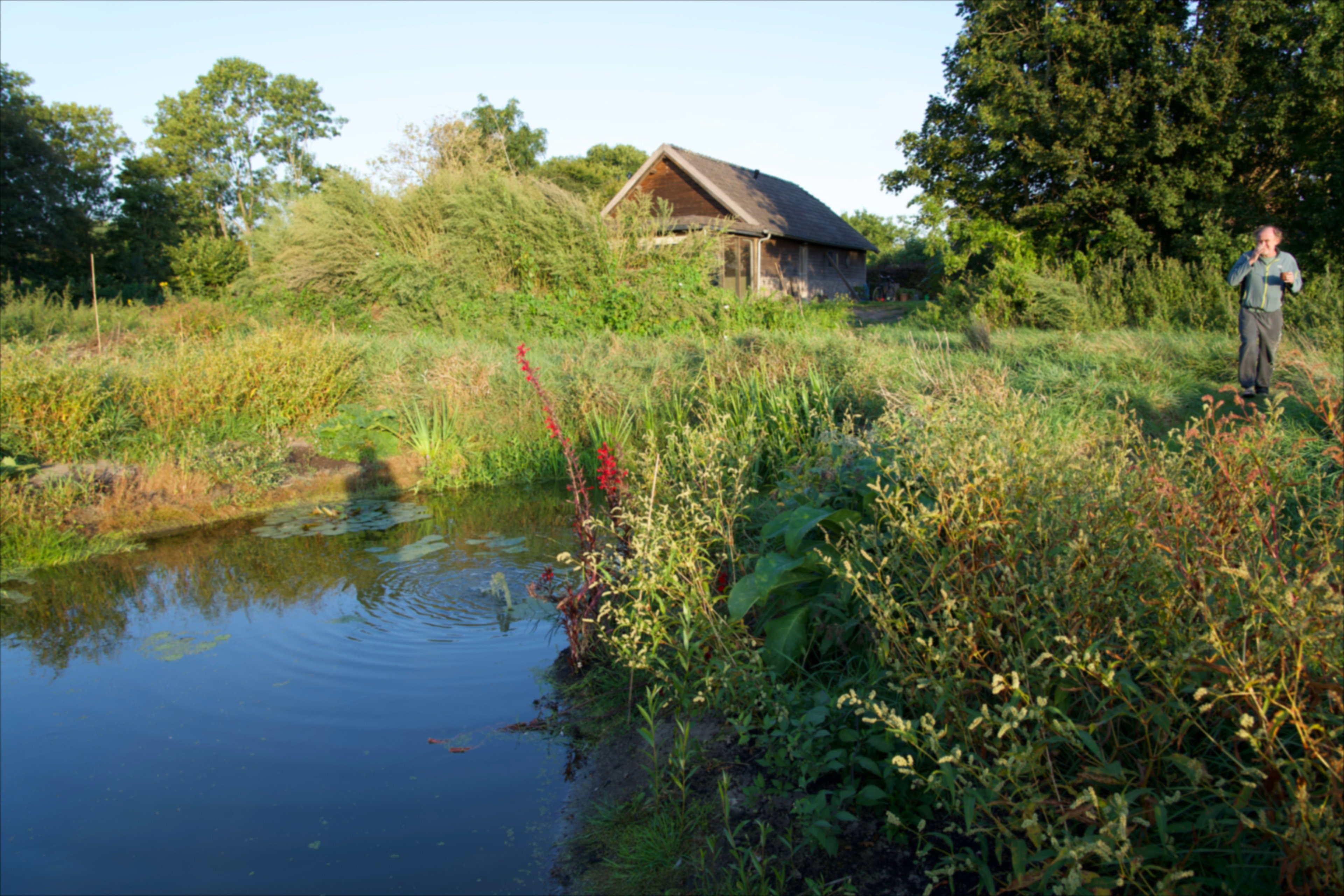 Casa nella natura a Vijfhuizen