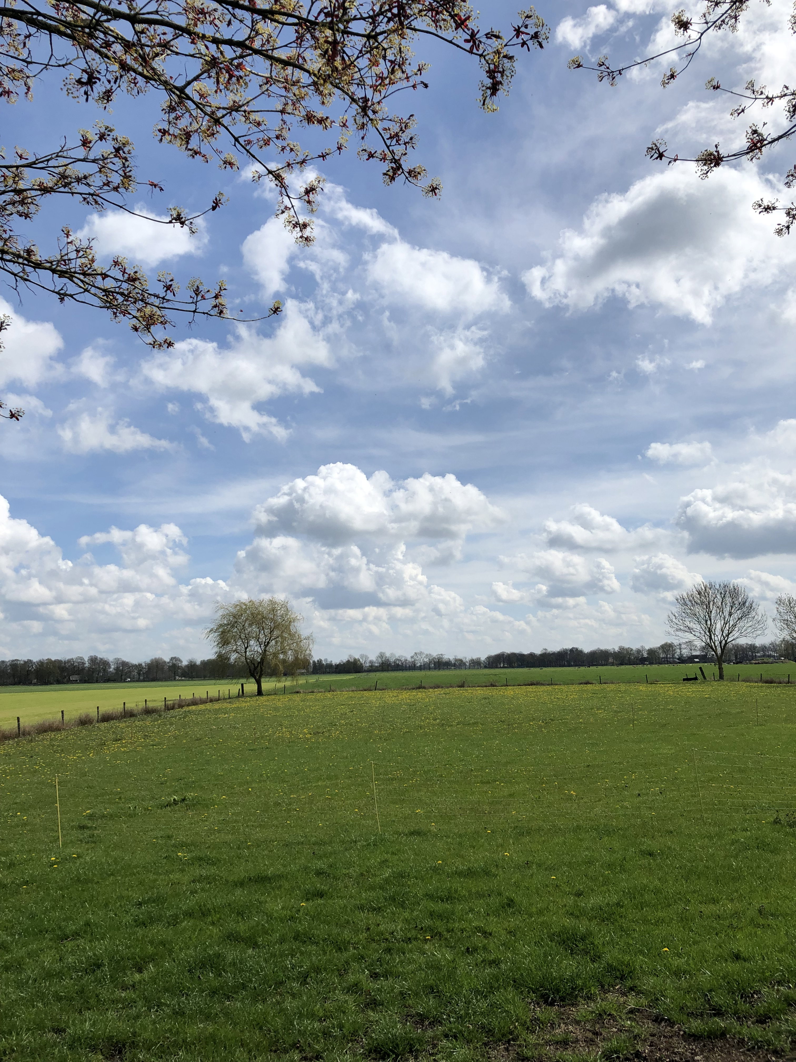 Natuurhuisje in Vinkenbuurt