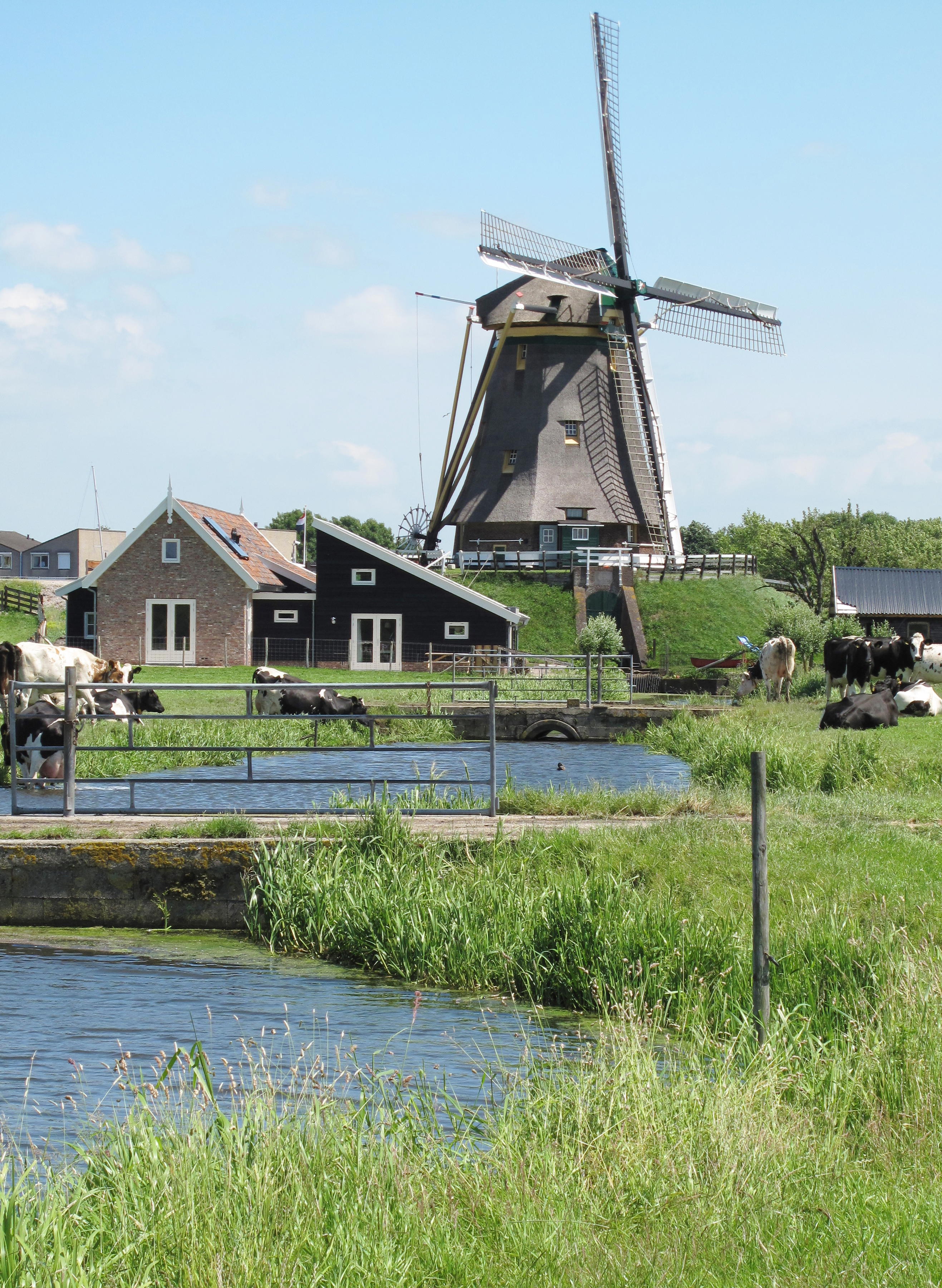 Maison nature à Alphen aan den Rijn