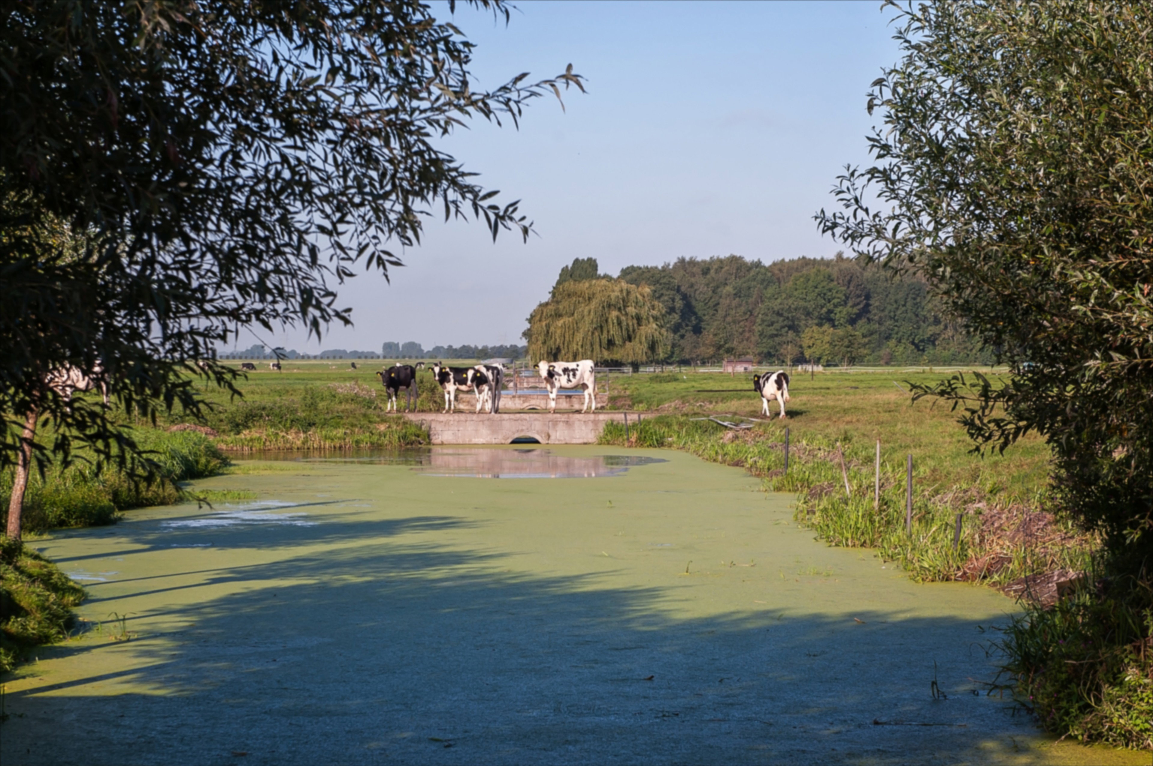 Natuurhuisje in Alphen aan den Rijn