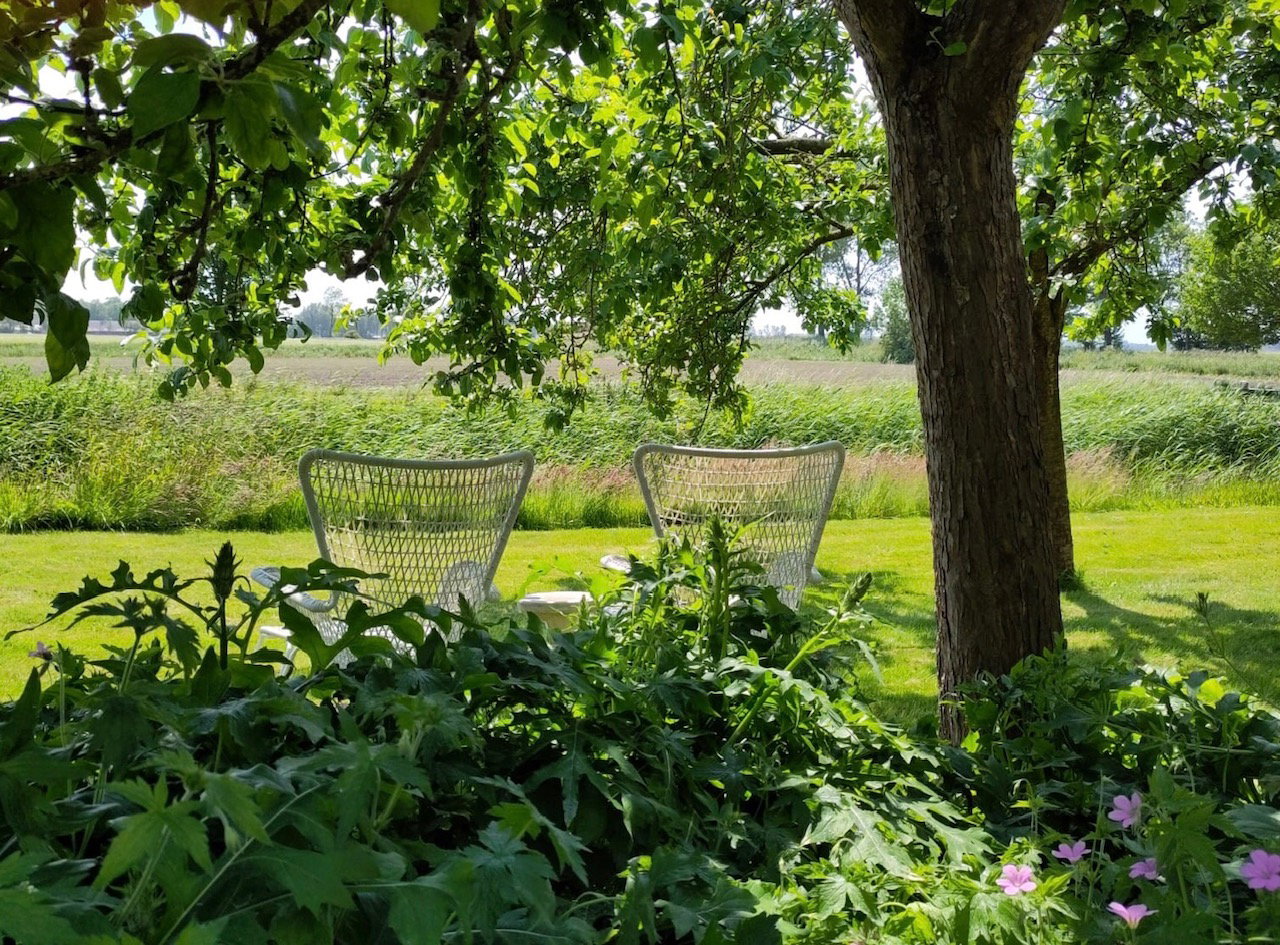 Maison nature à Eenrum