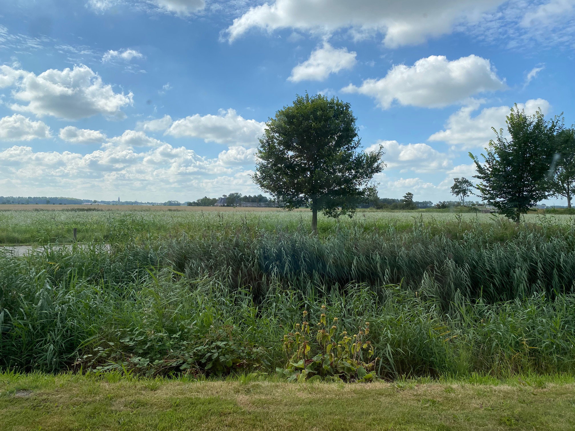 Maison nature à Eenrum