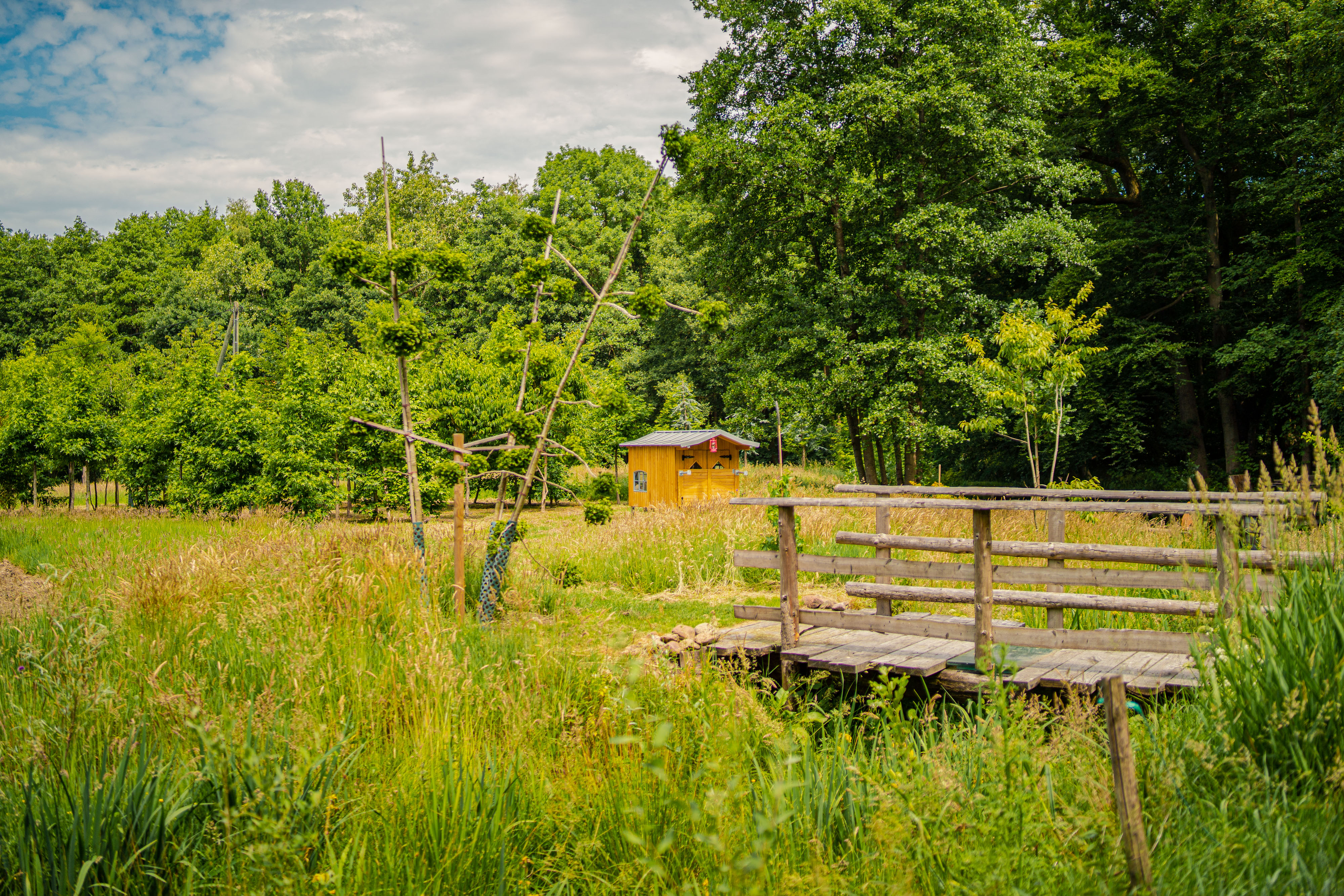 Naturhäuschen in Velen