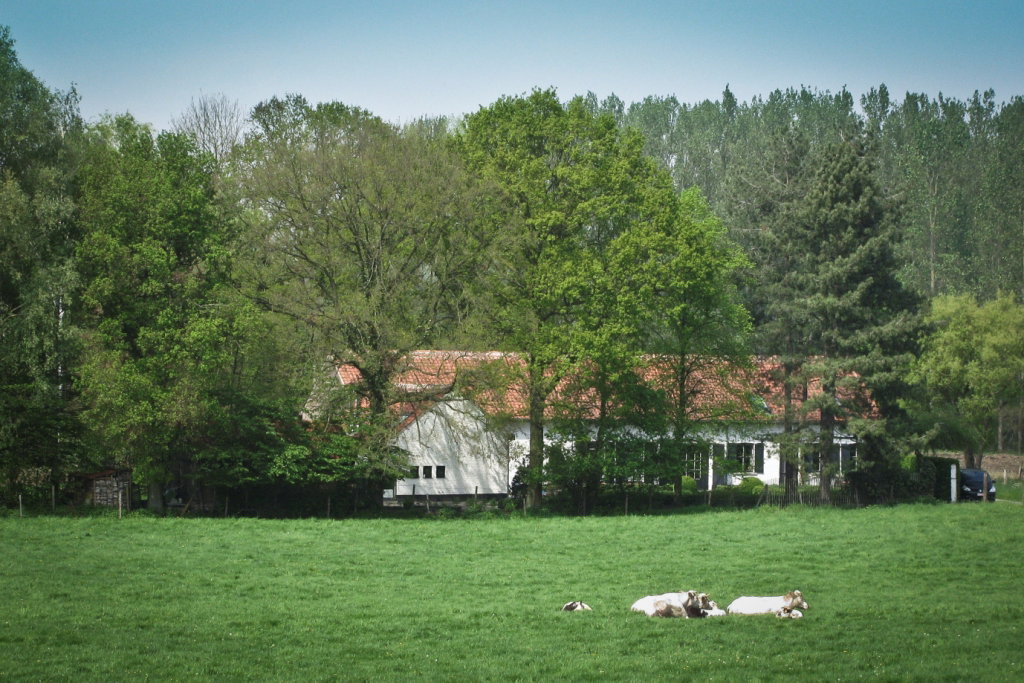 Casa nella natura a Holsbeek