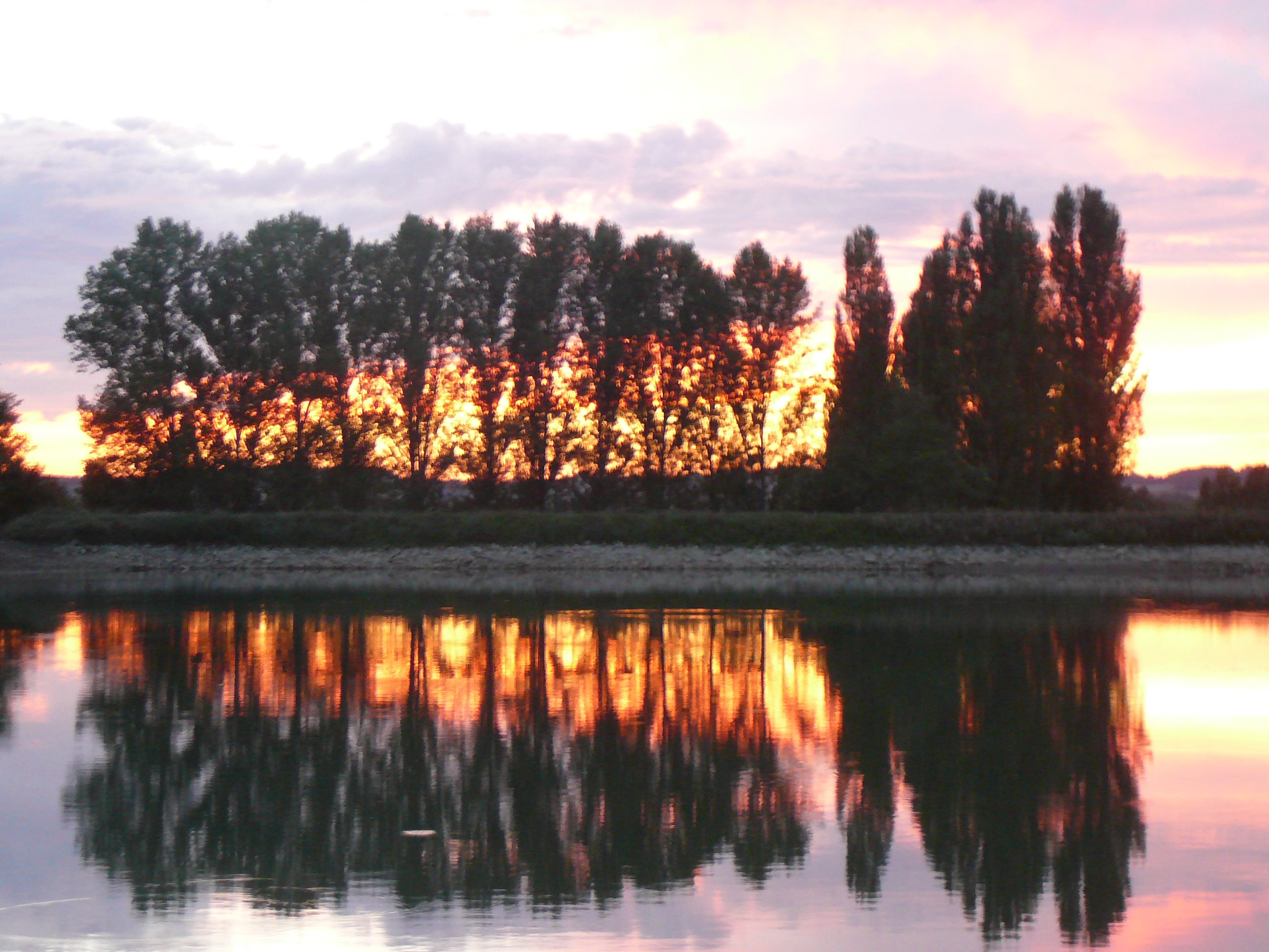 - image: 22