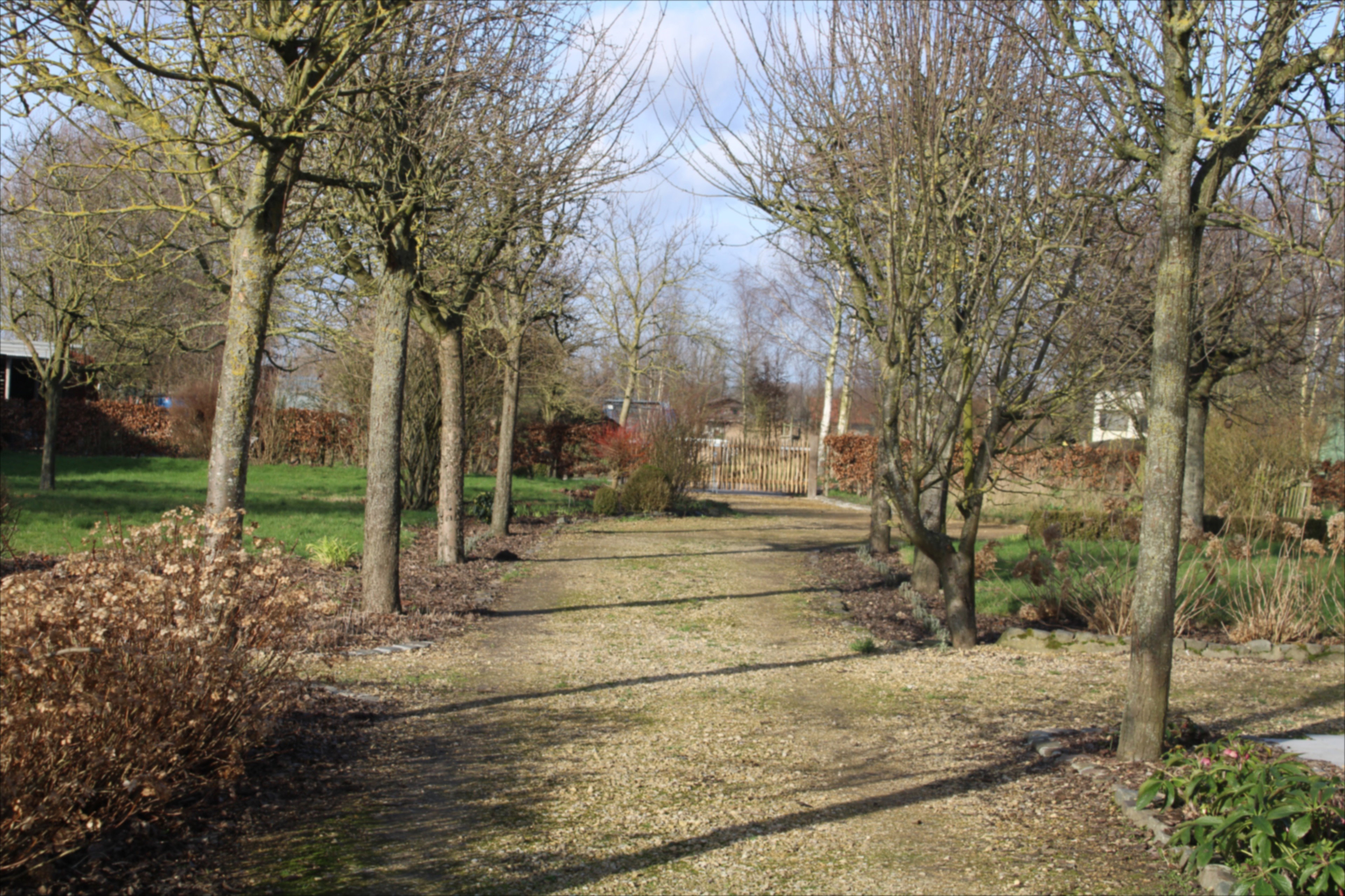 - image: 13