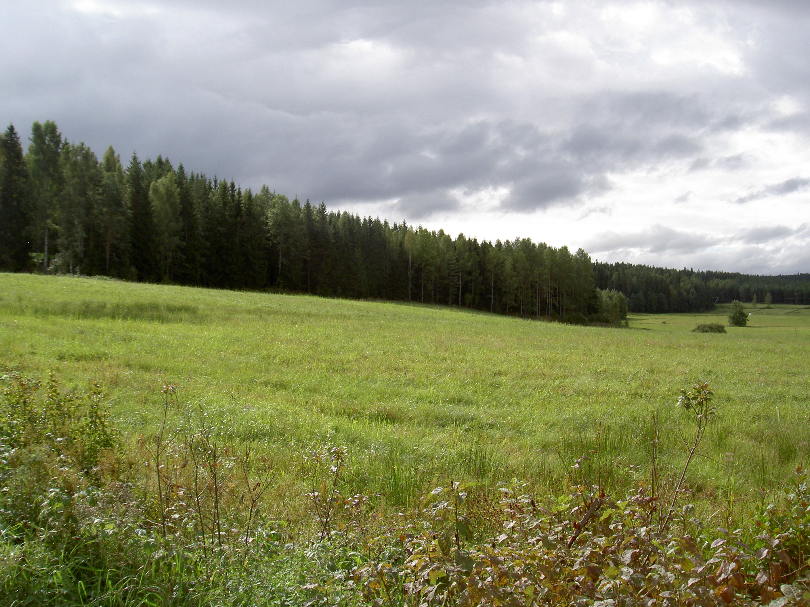 - image: 27