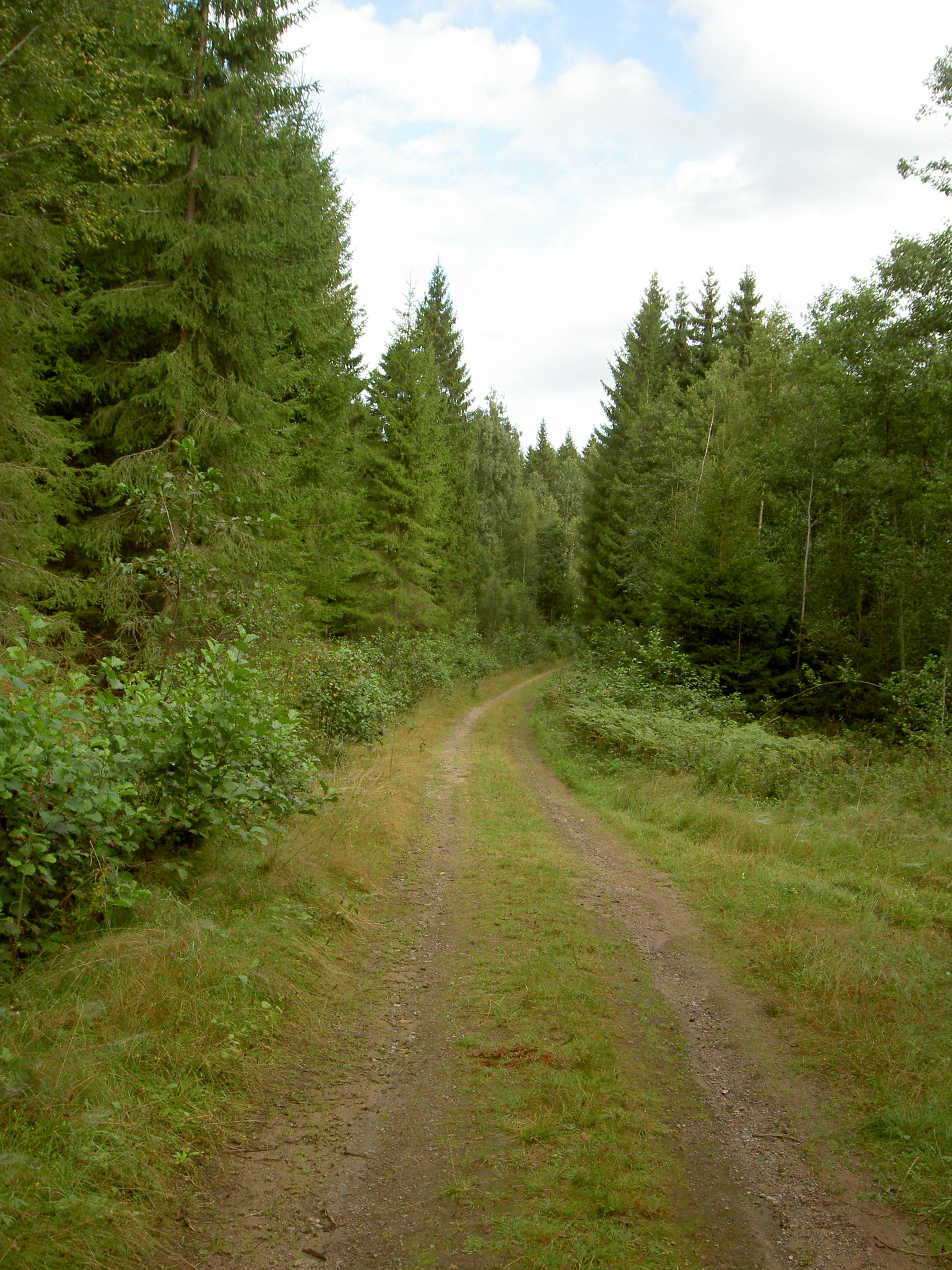 - image: 26