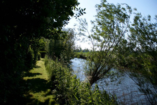 Maison nature à Wijnaldum