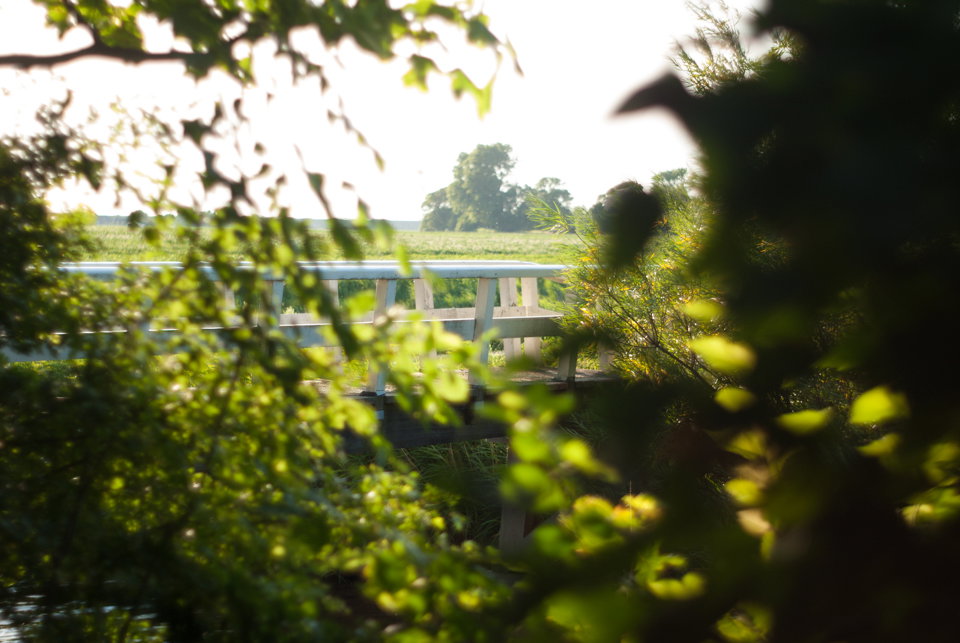 Maison nature à Wijnaldum