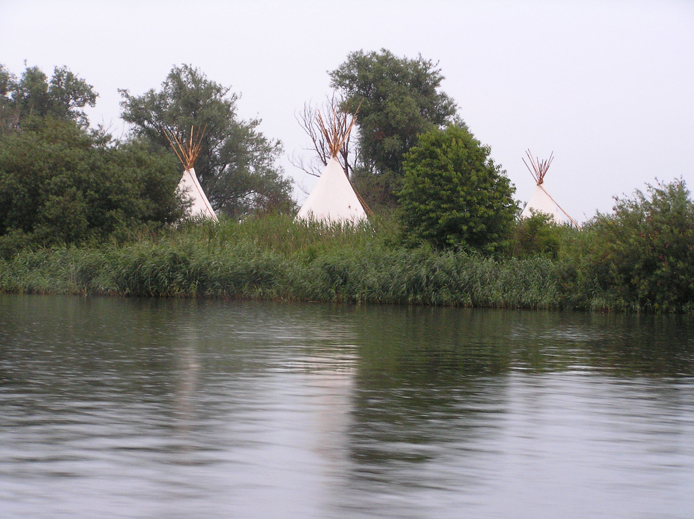 - image: 11
